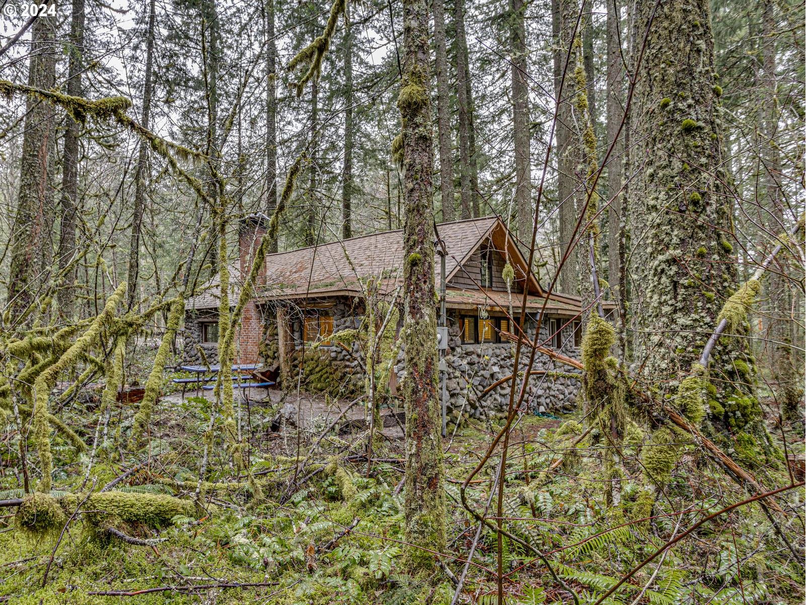 75402 East Zigzag Mountain Road Rhododendron, OR 97049 - Photo 38 of 41 Gallery Image 38