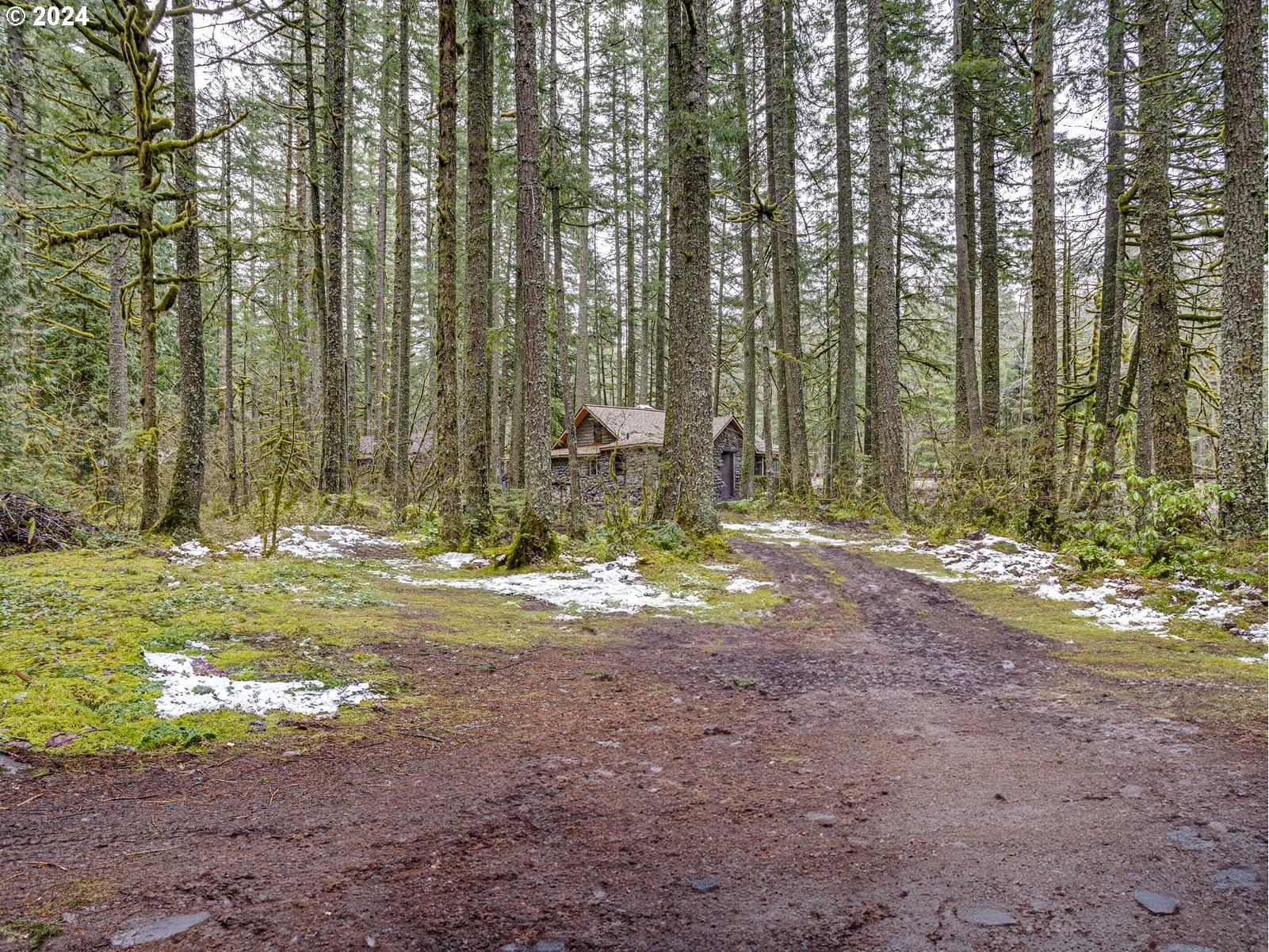 75402 East Zigzag Mountain Road Rhododendron, OR 97049 - Photo 39 of 41 Gallery Image 39