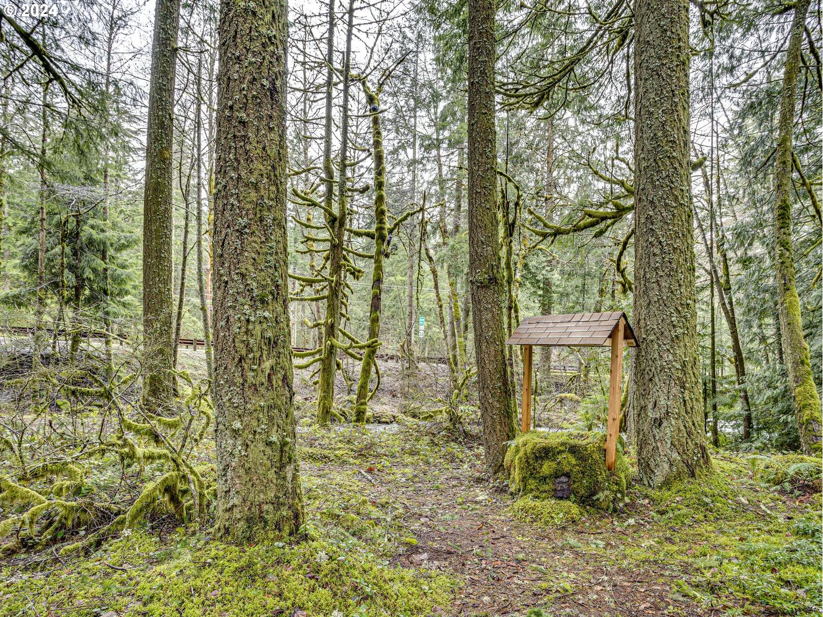 75402 East Zigzag Mountain Road Rhododendron, OR 97049 - Photo 41 of 41 Gallery Image 41