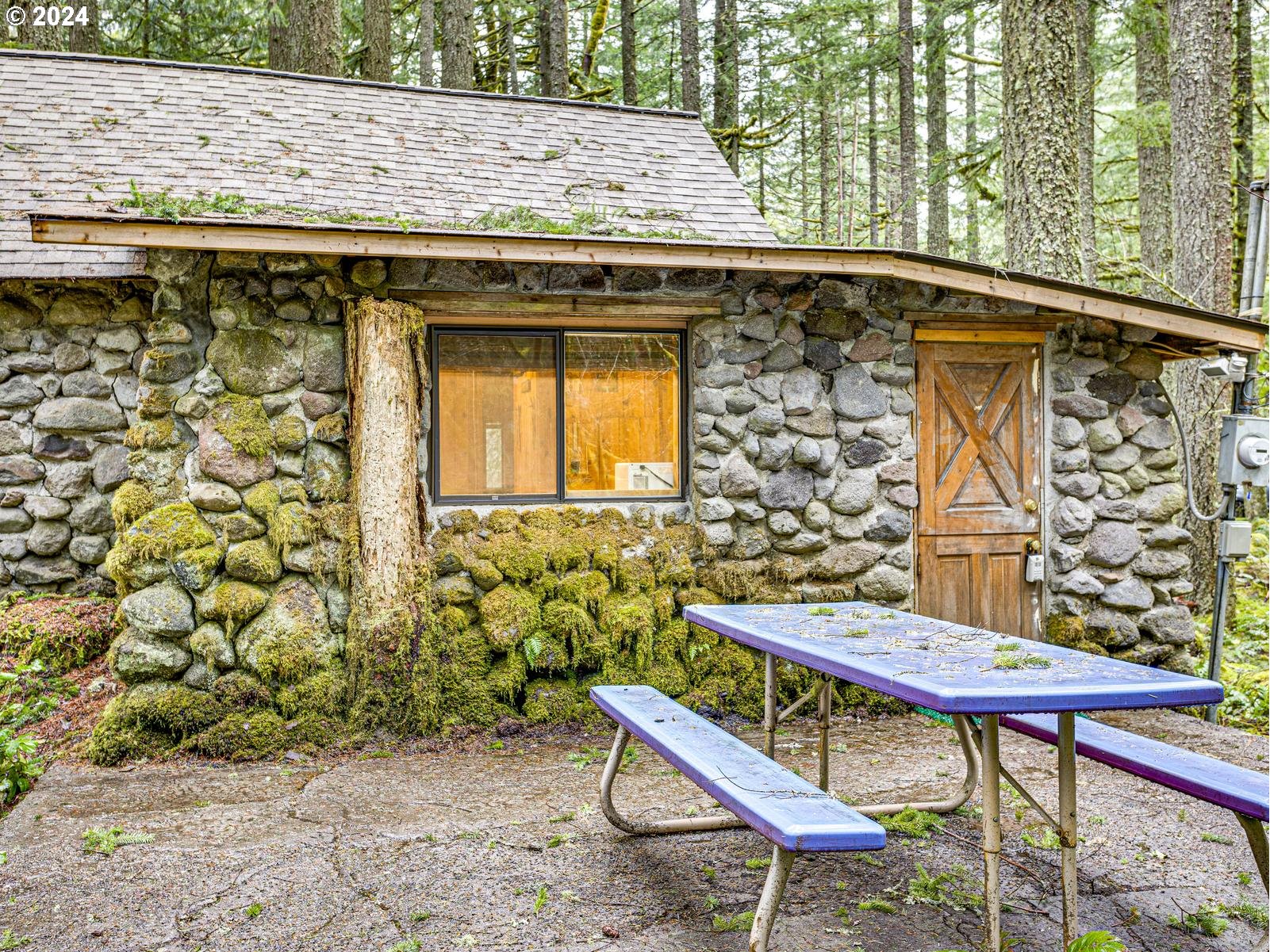 75402 East Zigzag Mountain Road Rhododendron, OR 97049 - Photo 8 of 41 Gallery Image 8