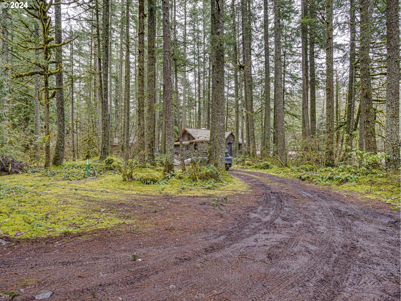 75402 East Zigzag Mountain Road Rhododendron, OR 97049 - Photo 9 of 41 Gallery Image 9