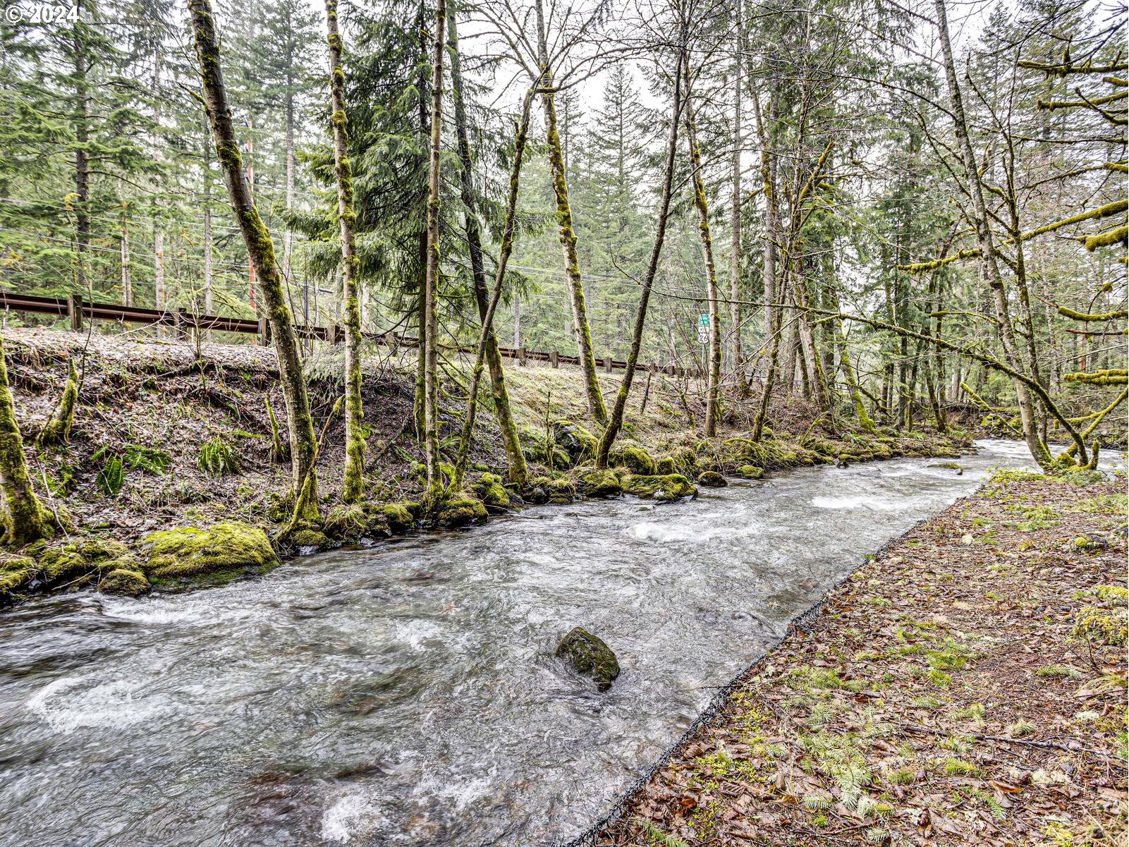 75402 East Zigzag Mountain Road Rhododendron, OR 97049 - Photo 10 of 41 Gallery Image 10