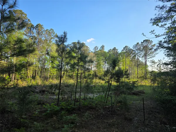 $676,578 | 190 Point Blank Tx 77364, Point Blank, TX 77364