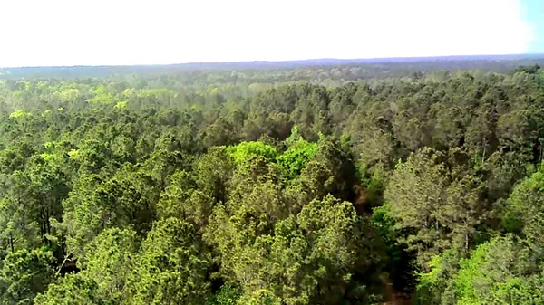 $676,578 | 190 Point Blank Tx 77364, Point Blank, TX 77364