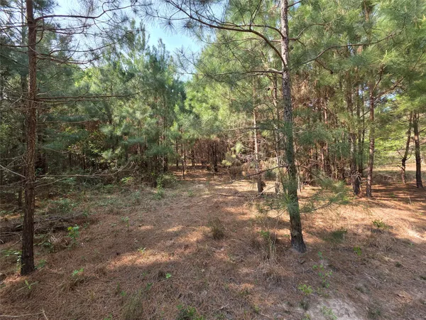 $676,578 | 190 Point Blank Tx 77364, Point Blank, TX 77364