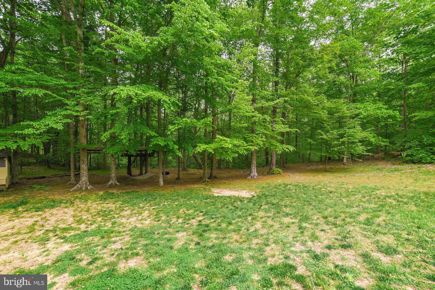 24110 McIntosh Road Hollywood, MD 20636 - Photo 13 of 40 Nice open woods behind home