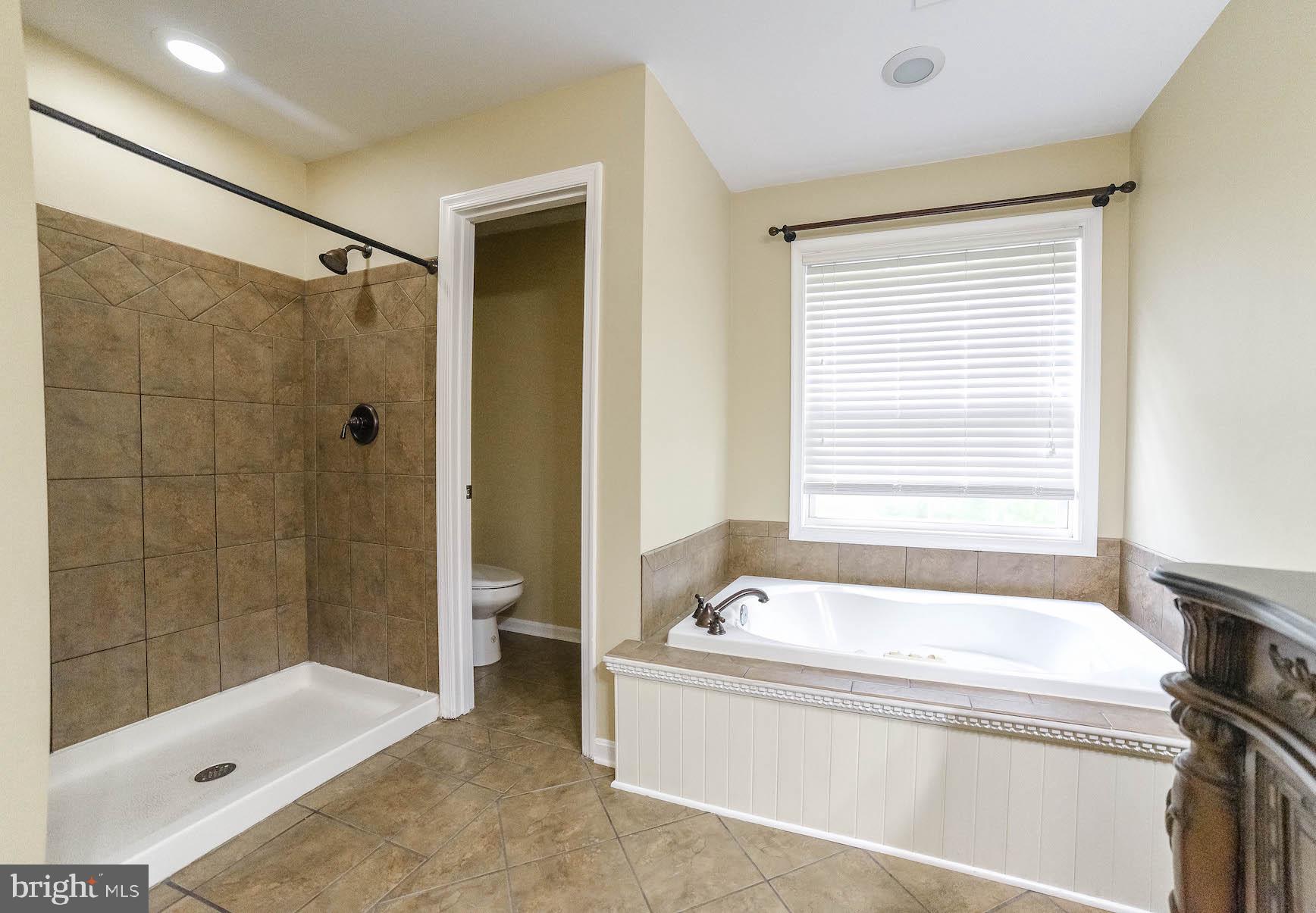 24110 McIntosh Road Hollywood, MD 20636 - Photo 26 of 40 Master bath with jetted tub and easy step shower