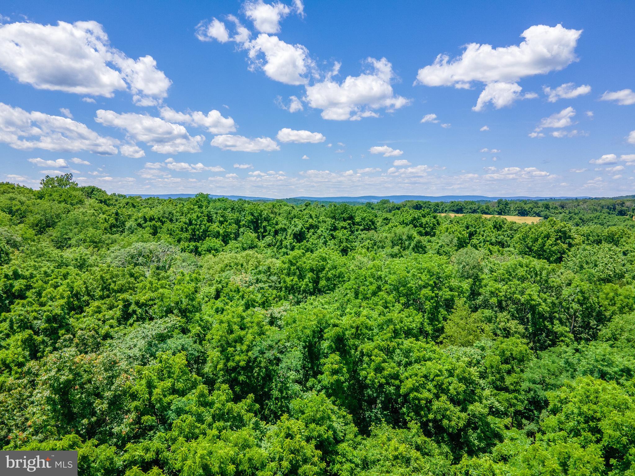 Oatlands Road Aldie, VA 20105 - Photo 11 of 11