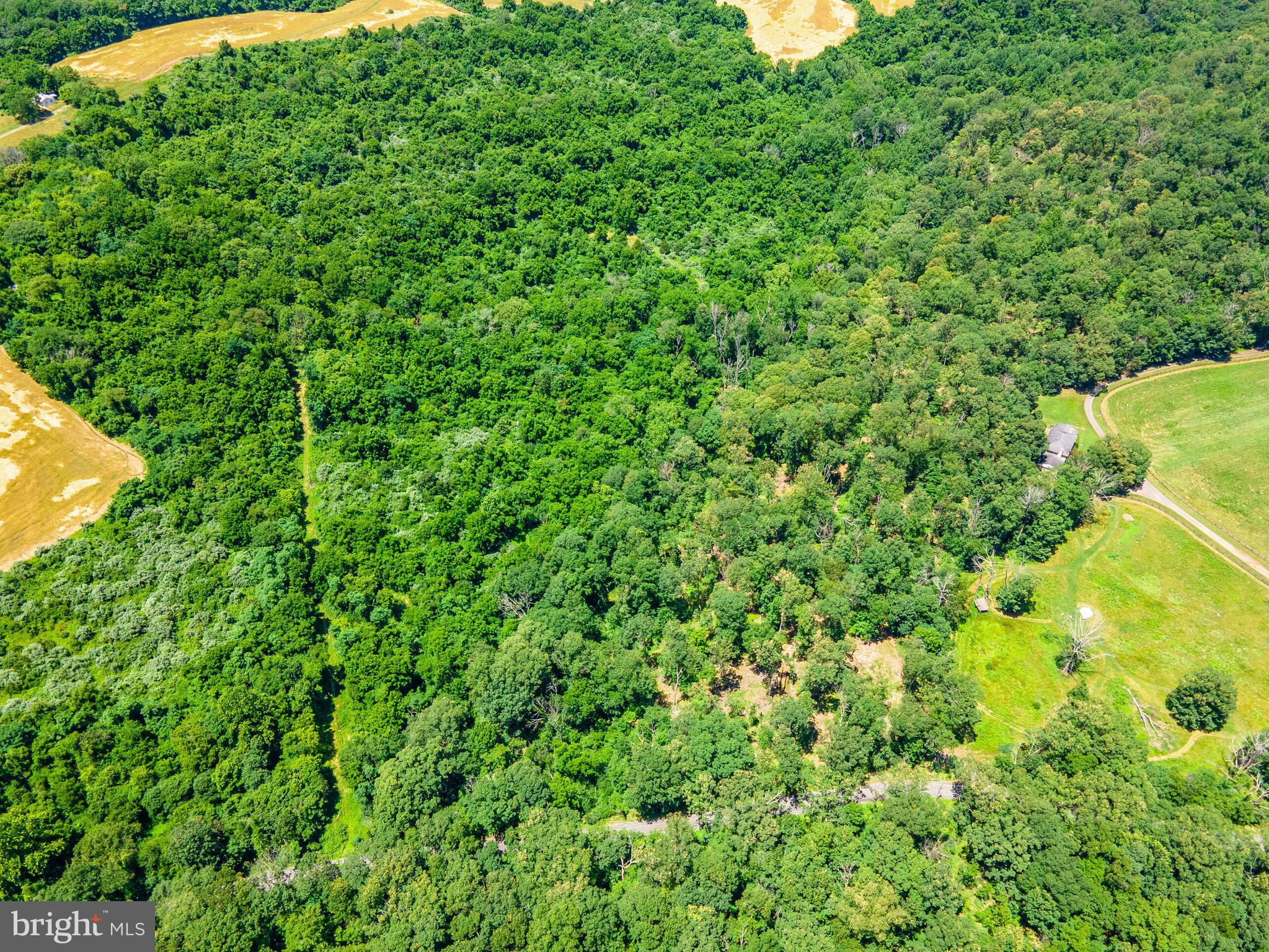 Oatlands Road Aldie, VA 20105 - Photo 7 of 11