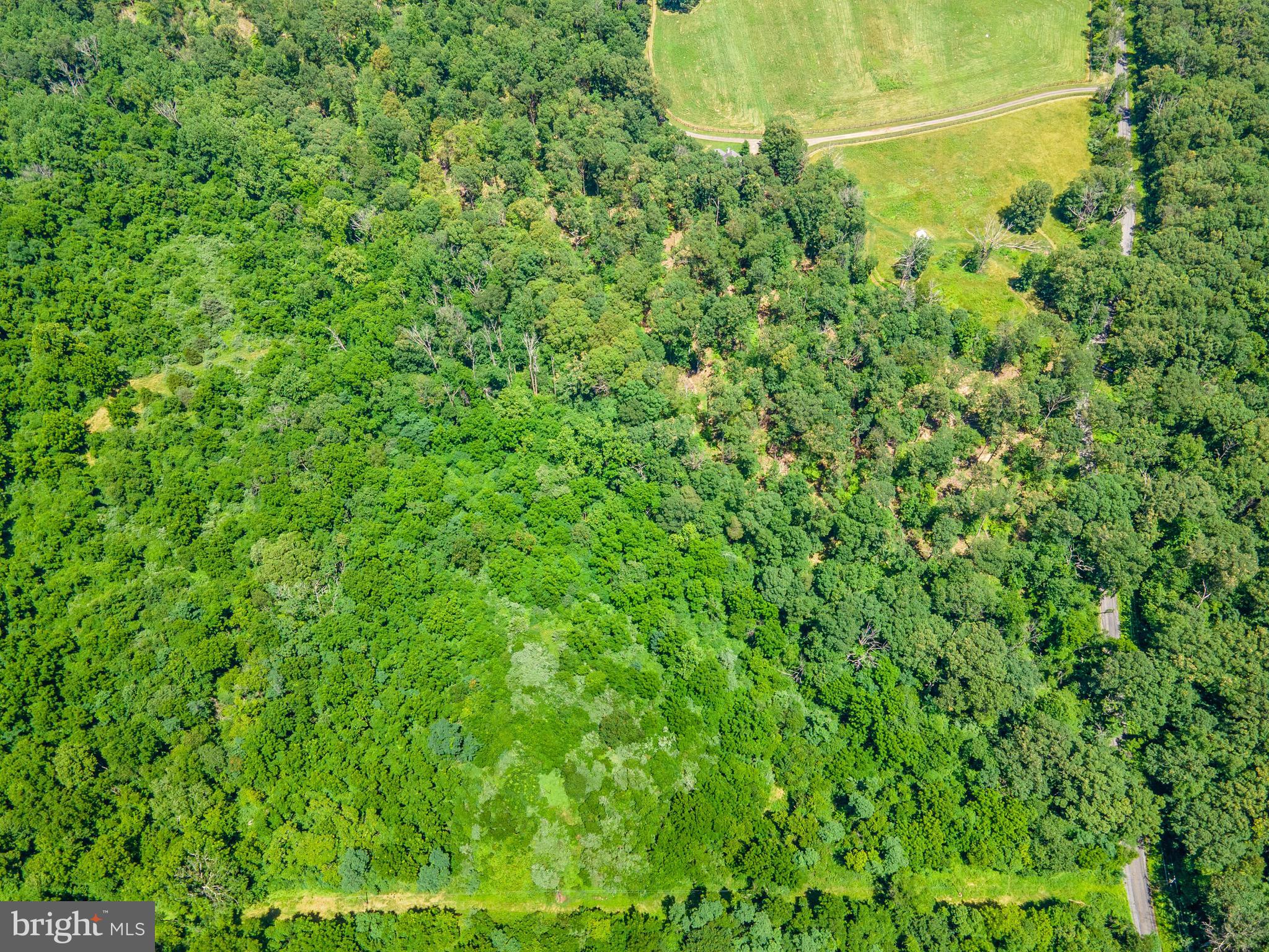 Oatlands Road Aldie, VA 20105 - Photo 9 of 11