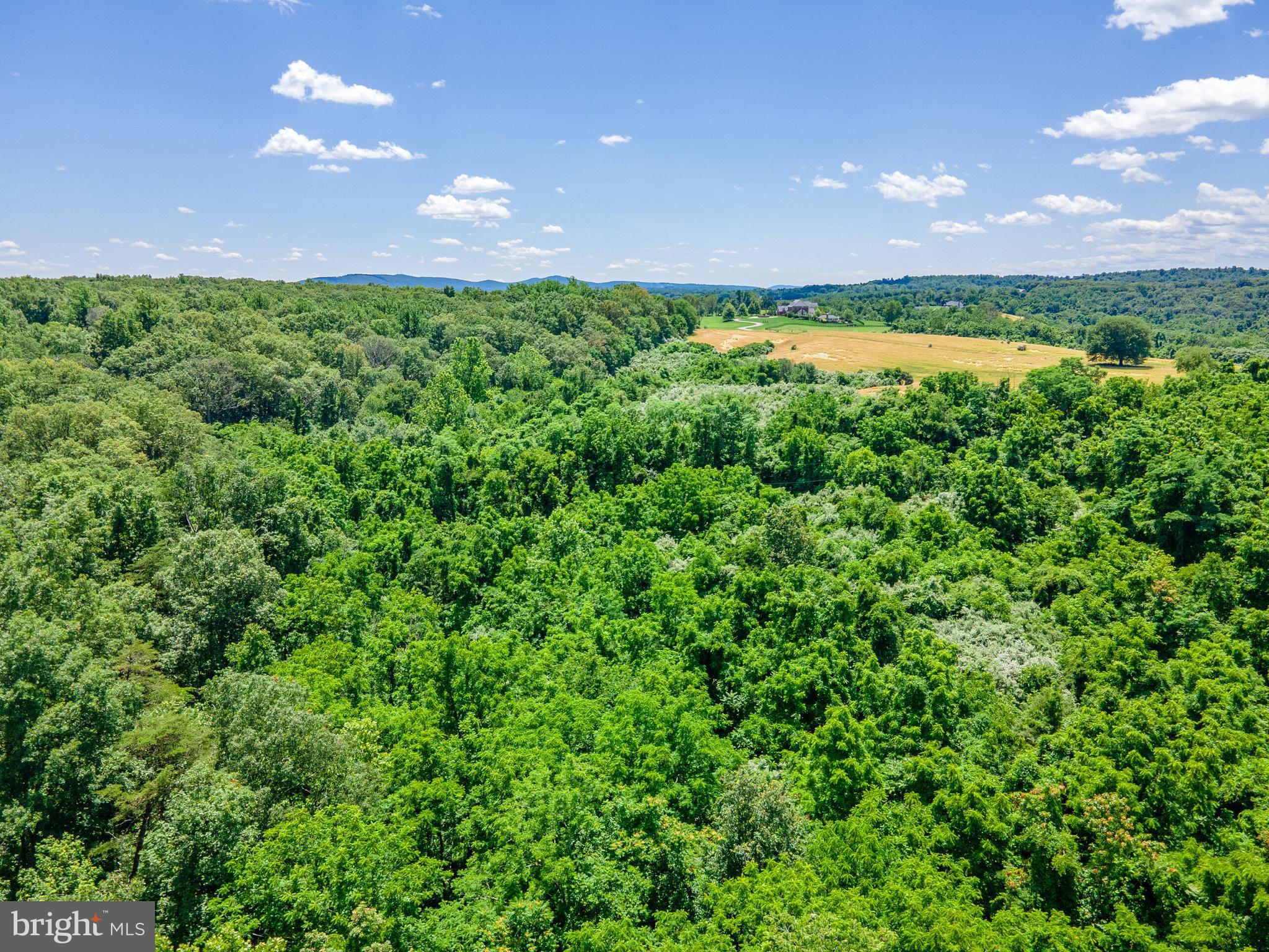 Oatlands Road Aldie, VA 20105 - Photo 10 of 11