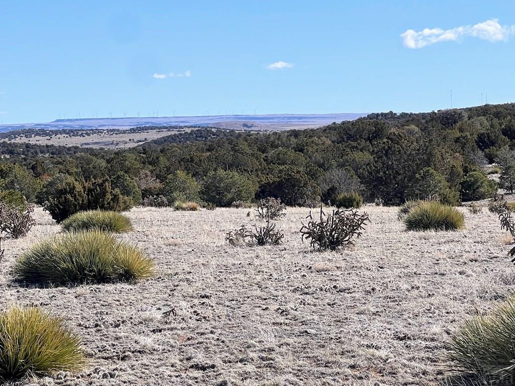 0 Twin Lakes Road Walsenburg, CO 81089 - Photo 5 of 13
