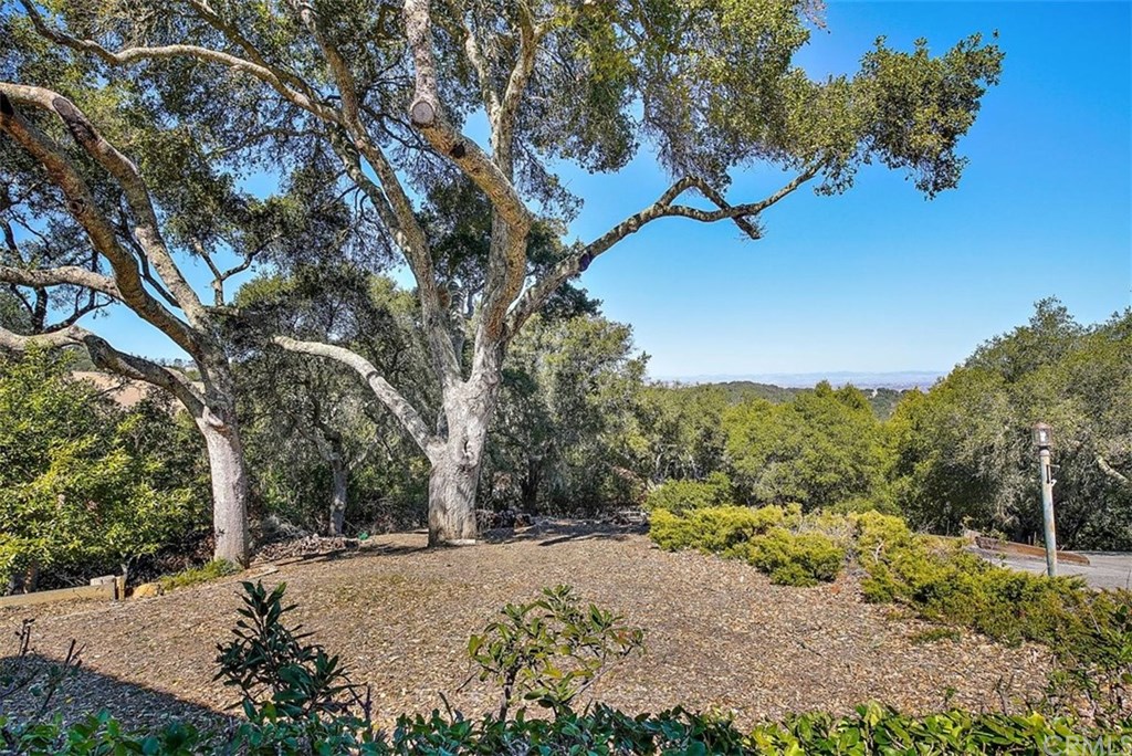 9405 Santa Cruz Road Atascadero, CA 93422 - Photo 15 of 43