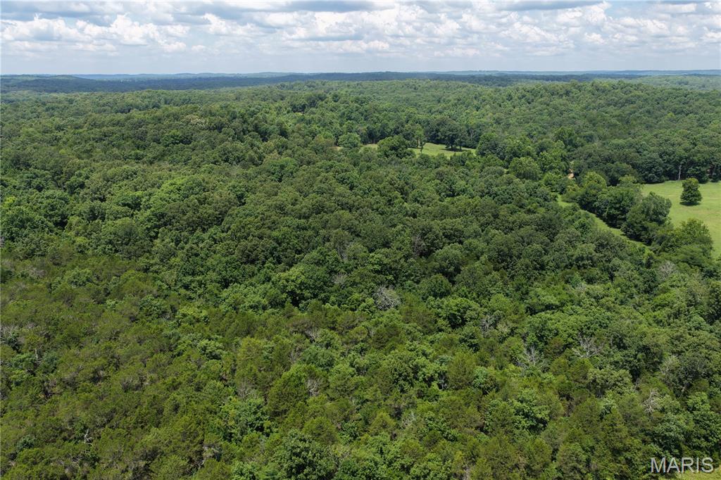 Tbd Fairview Road Imboden, AR 72434 - Photo 10 of 24