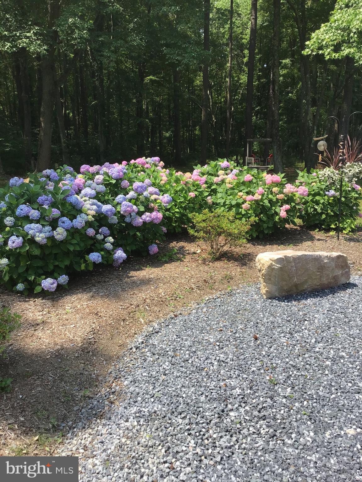 6270 Quaker Neck Landing Road Chestertown, MD 21620 - Photo 61 of 73 Gallery Image 61