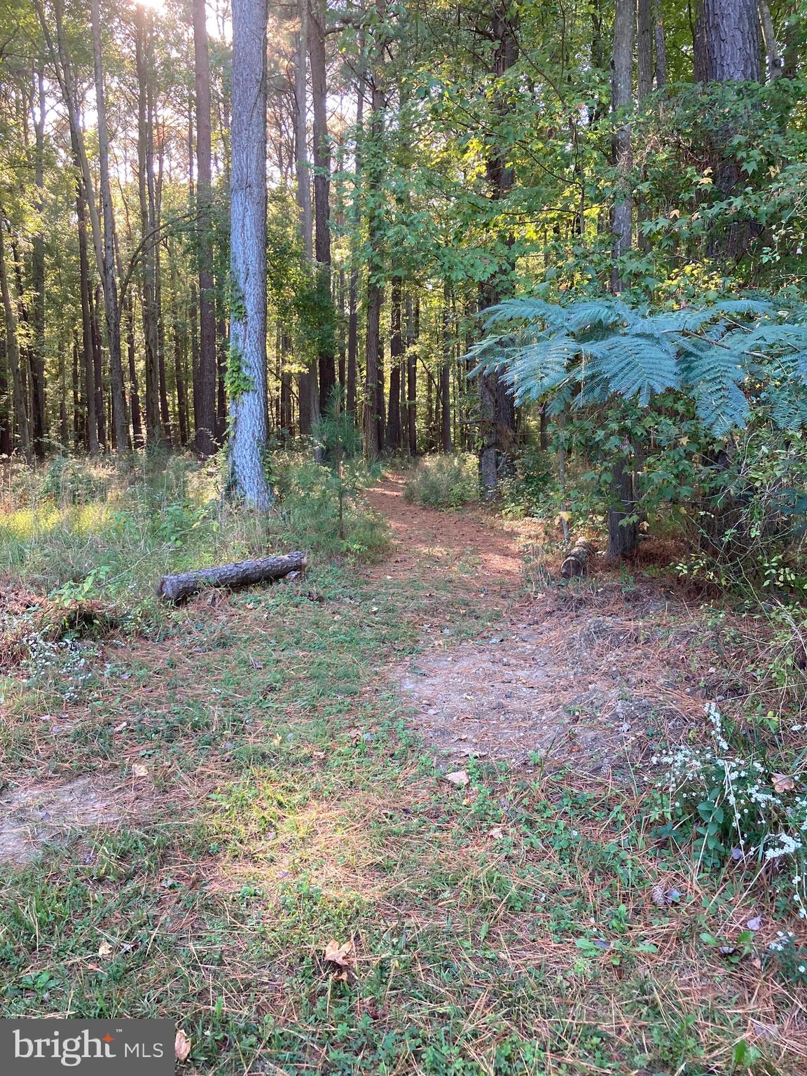6270 Quaker Neck Landing Road Chestertown, MD 21620 - Photo 63 of 73 Gallery Image 63