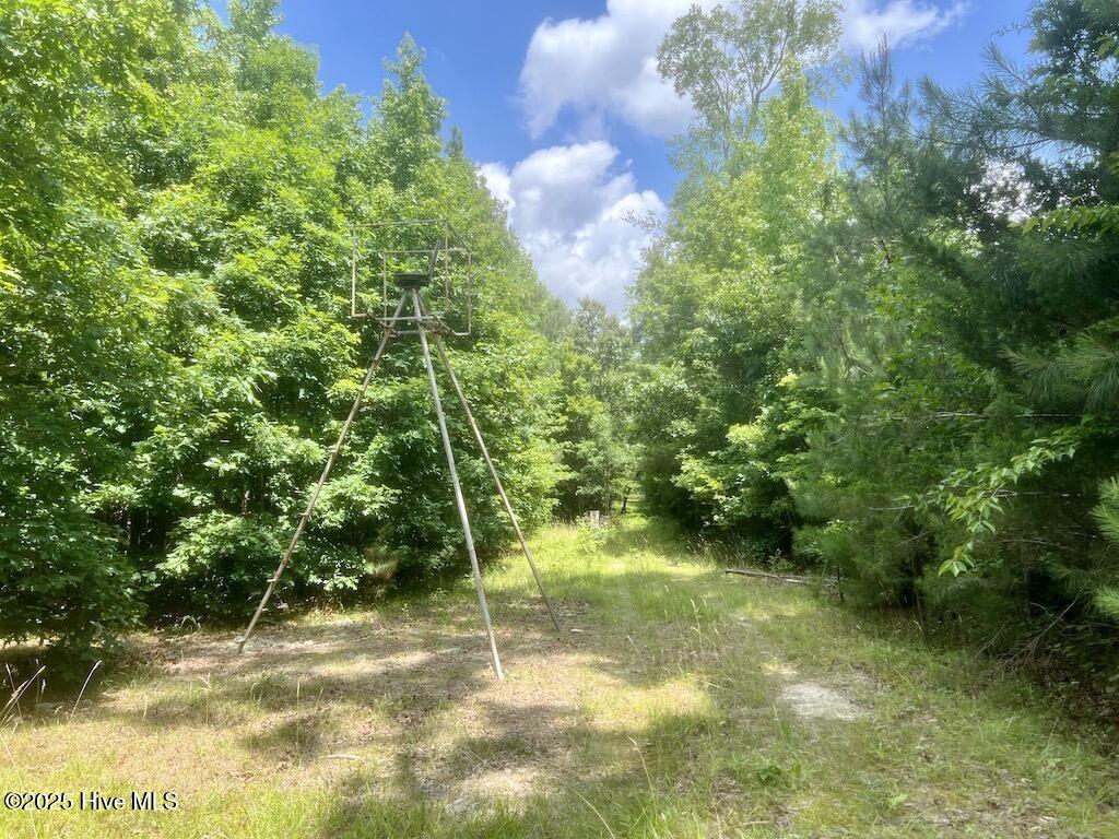 0 Shields Commissary Road Scotland Neck, NC 27874 - Photo 12 of 60 11
