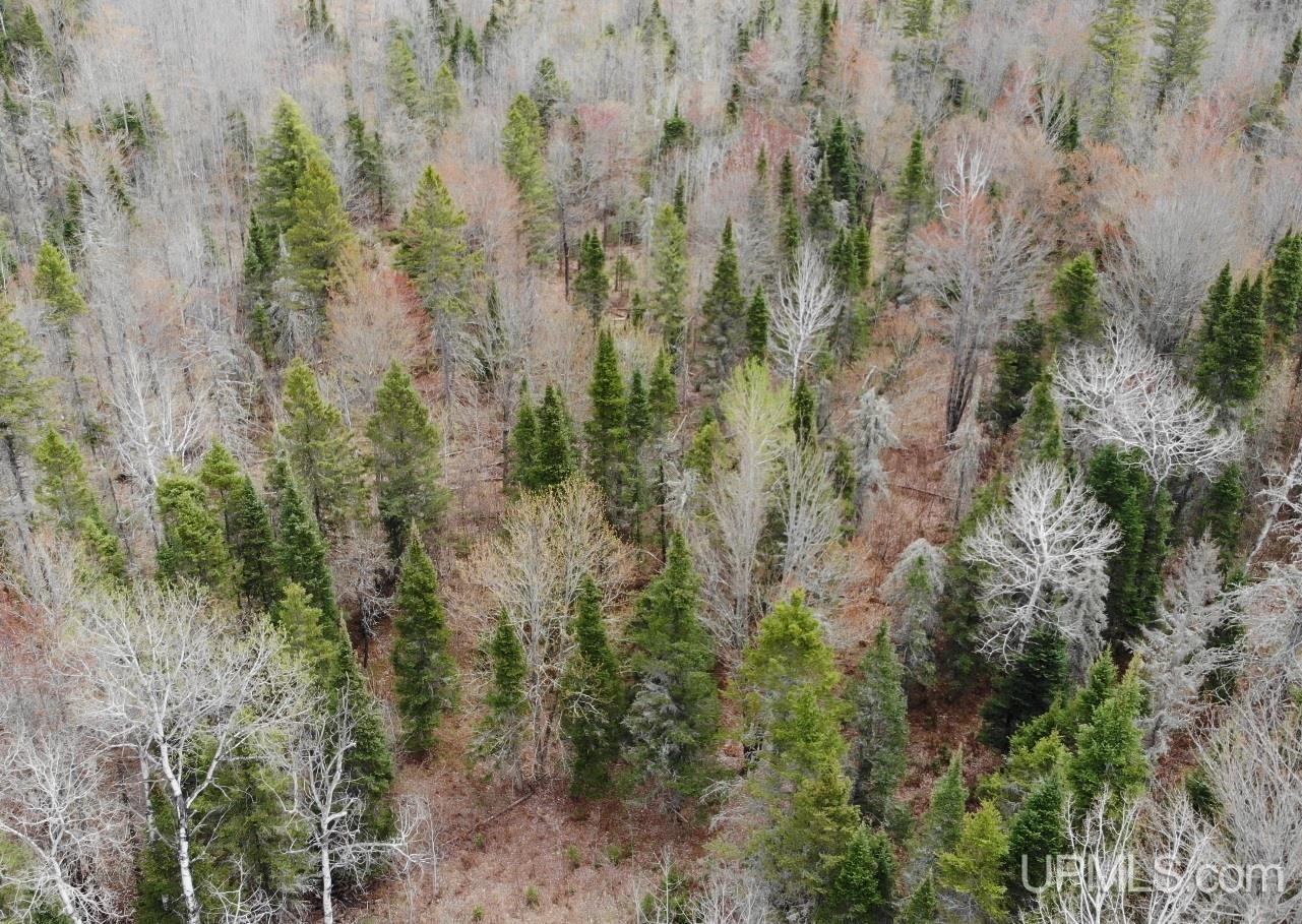 39 Sleepy Hollow Road Bruce Crossing, MI 49912 - Photo 2 of 24 Gallery Image 2