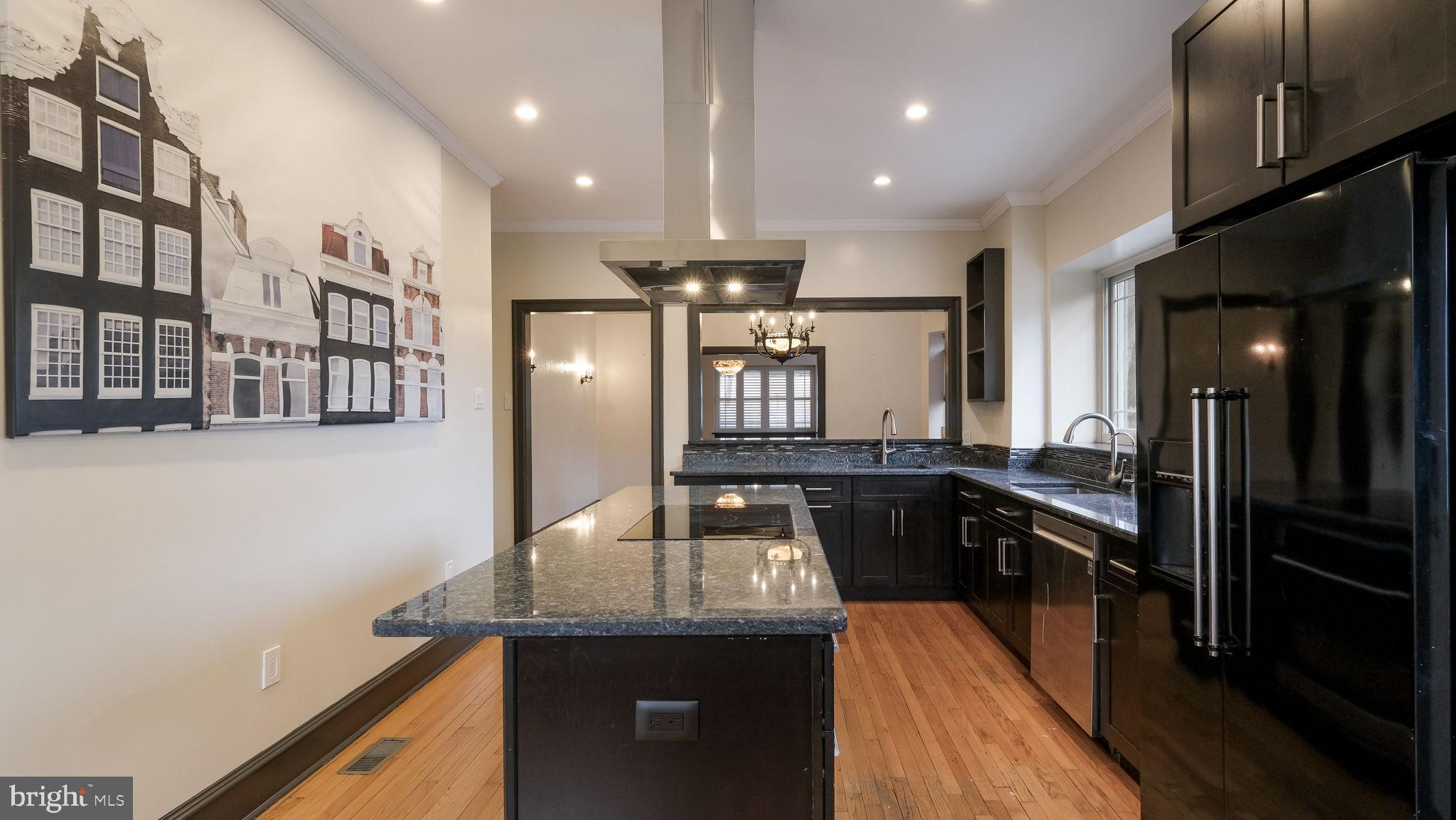 459 South Gulph Road King of Prussia, PA 19406 - Photo 15 of 43 Sleek modern kitchen with elegant finishes.