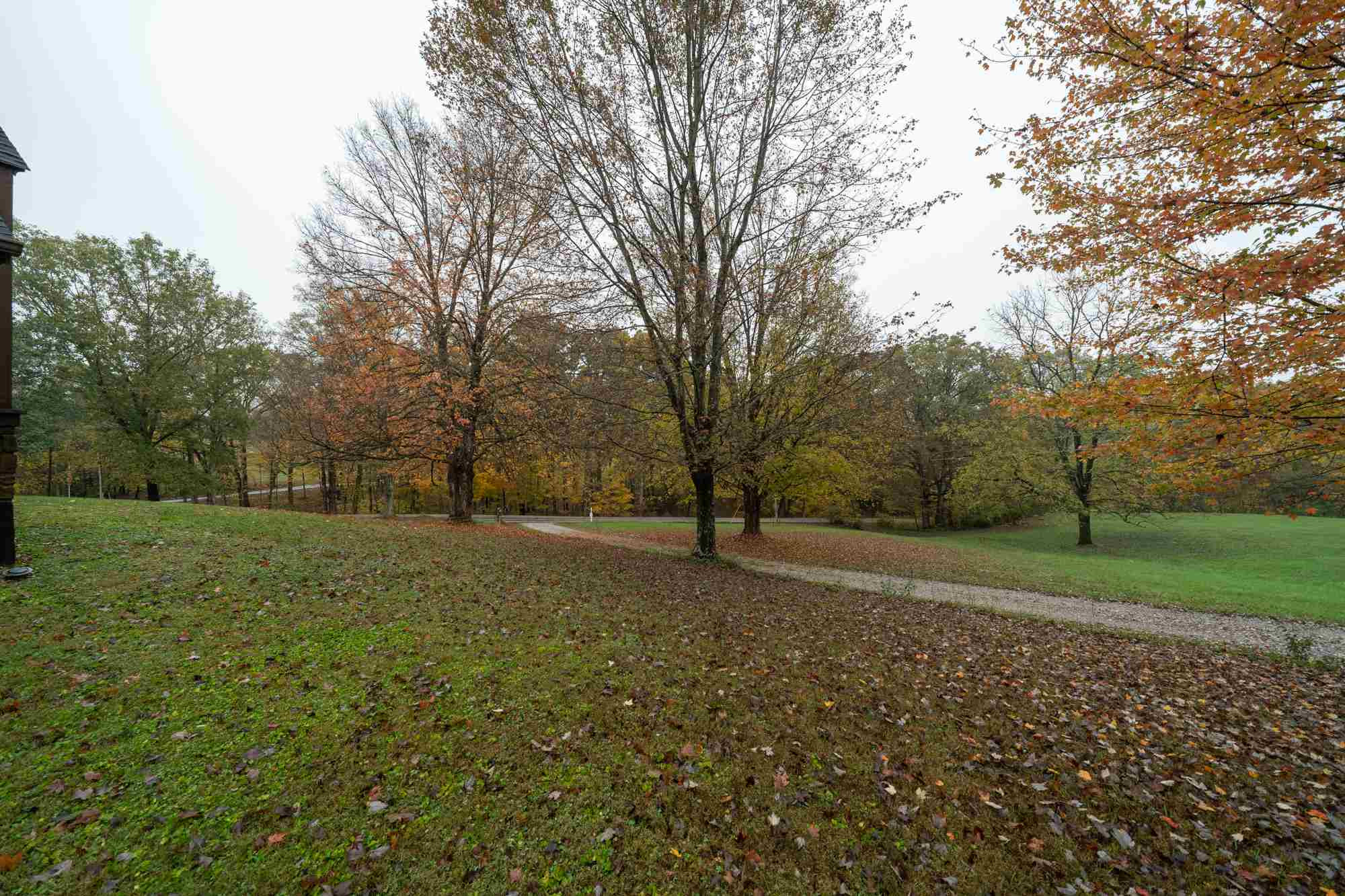 31 Tate Lane Butler, KY 41006 - Photo 8 of 49 Gallery Image 8