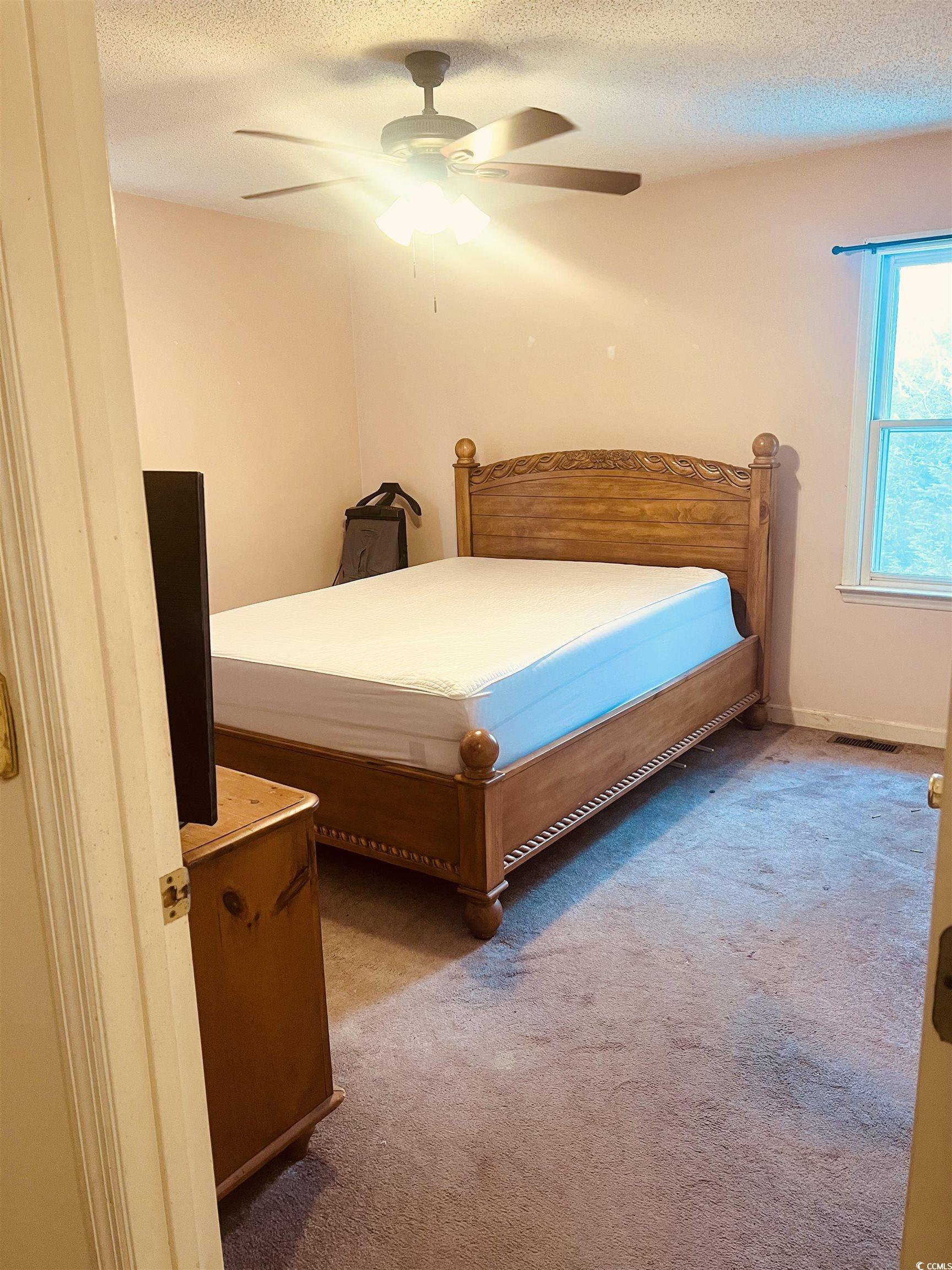 664 4 Mile Loop Cheraw, SC 29520 - Photo 16 of 27 Carpeted bedroom featuring ceiling fan, a textured