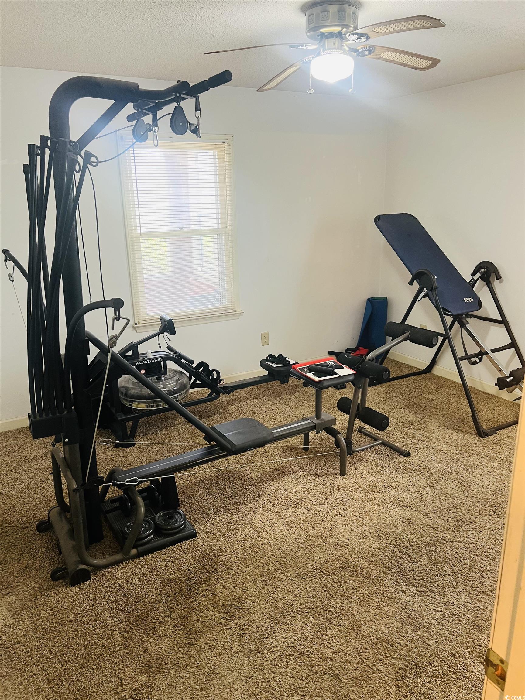 664 4 Mile Loop Cheraw, SC 29520 - Photo 17 of 27 Exercise room with baseboards, a ceiling fan, a te