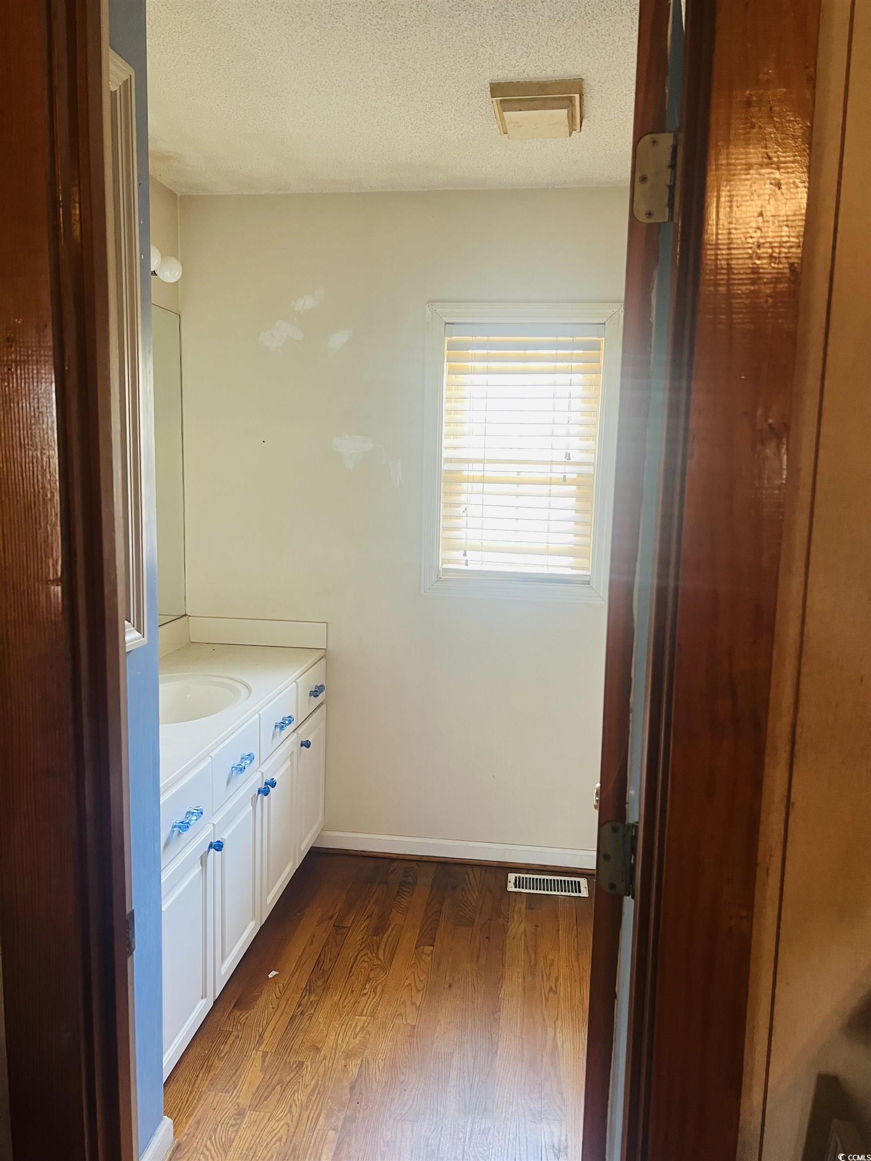 664 4 Mile Loop Cheraw, SC 29520 - Photo 18 of 27 Bathroom with a textured ceiling, wood finished fl