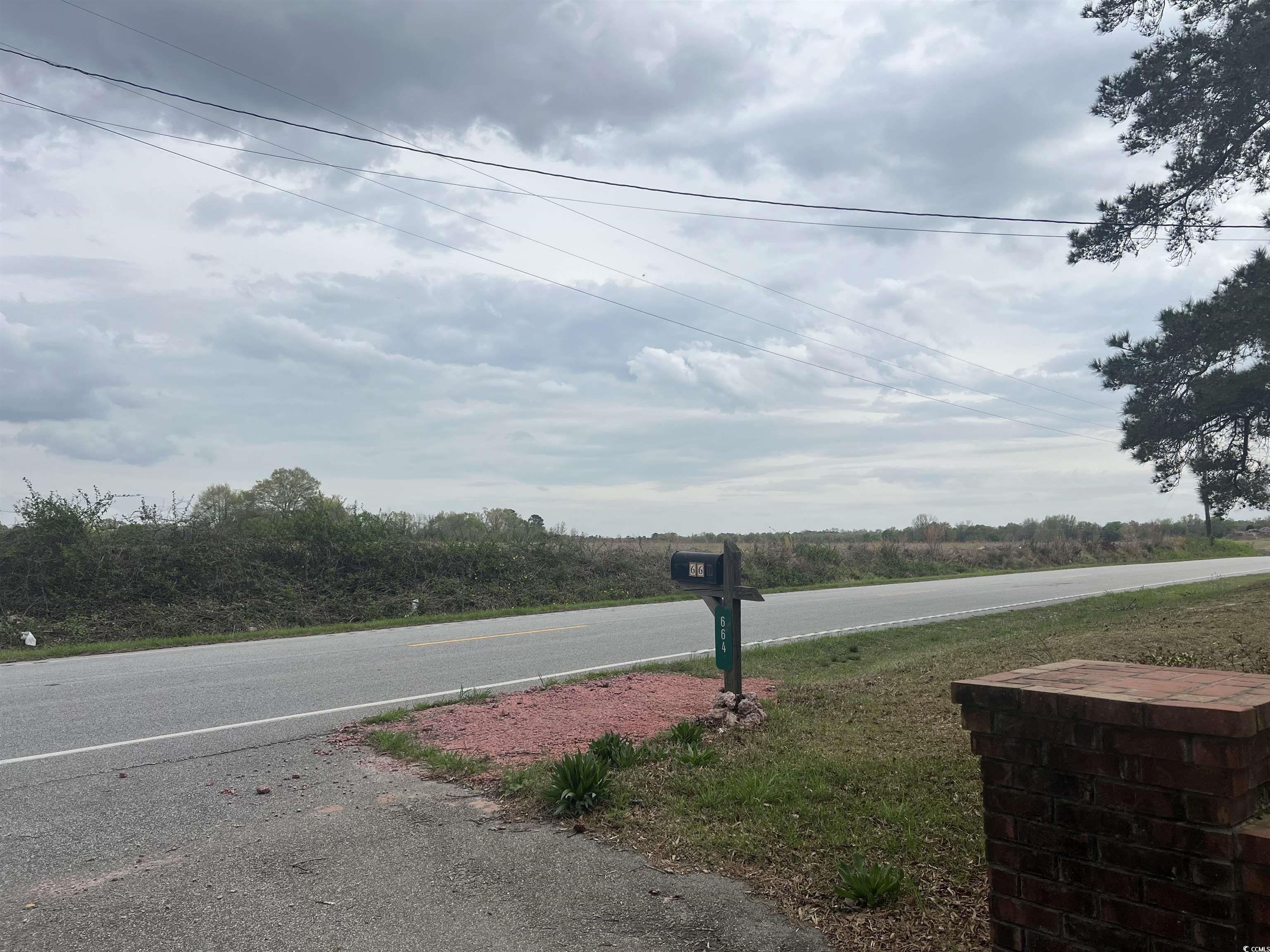 664 4 Mile Loop Cheraw, SC 29520 - Photo 24 of 27 View of street