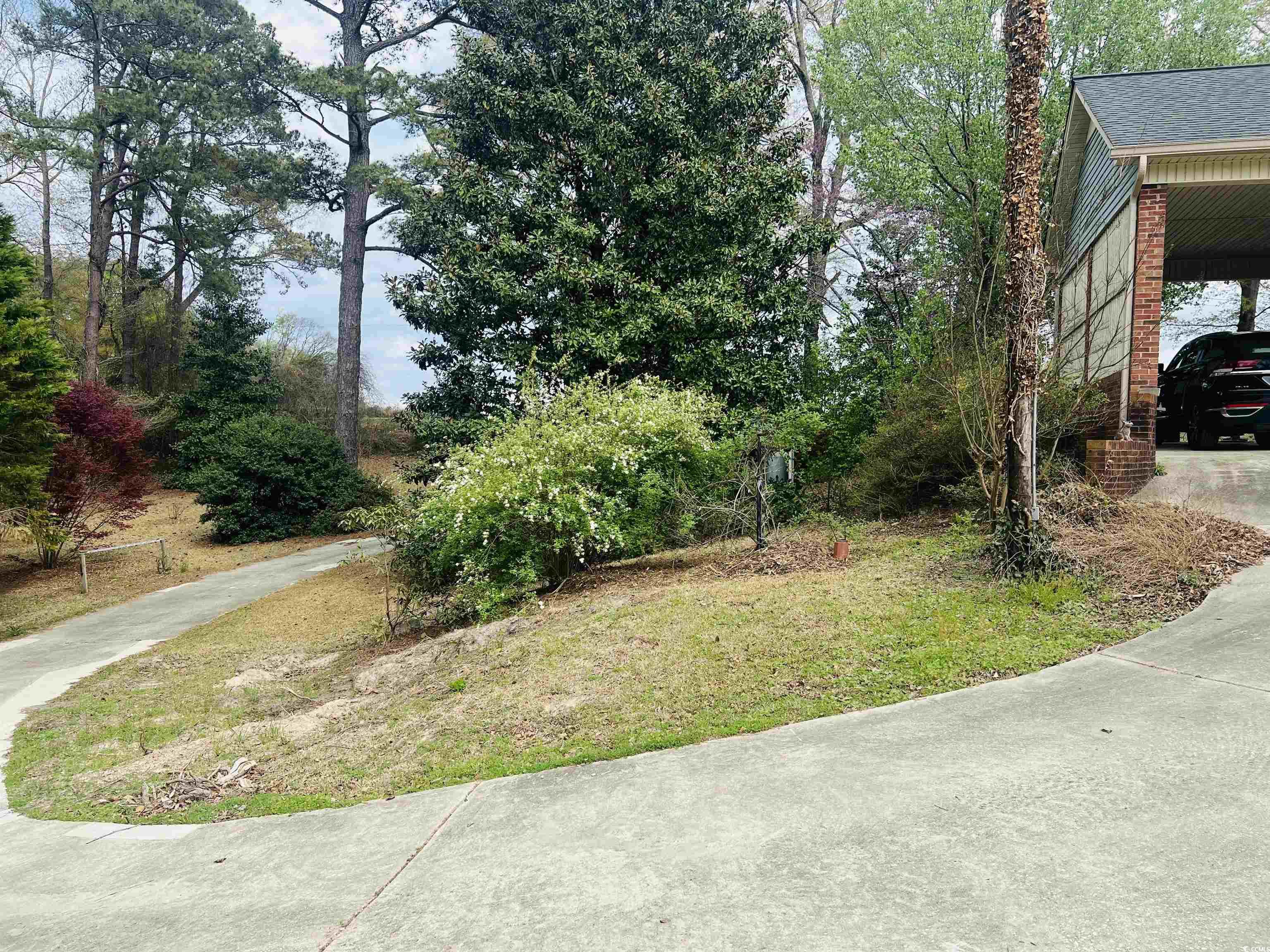 664 4 Mile Loop Cheraw, SC 29520 - Photo 3 of 27 View of yard featuring a carport