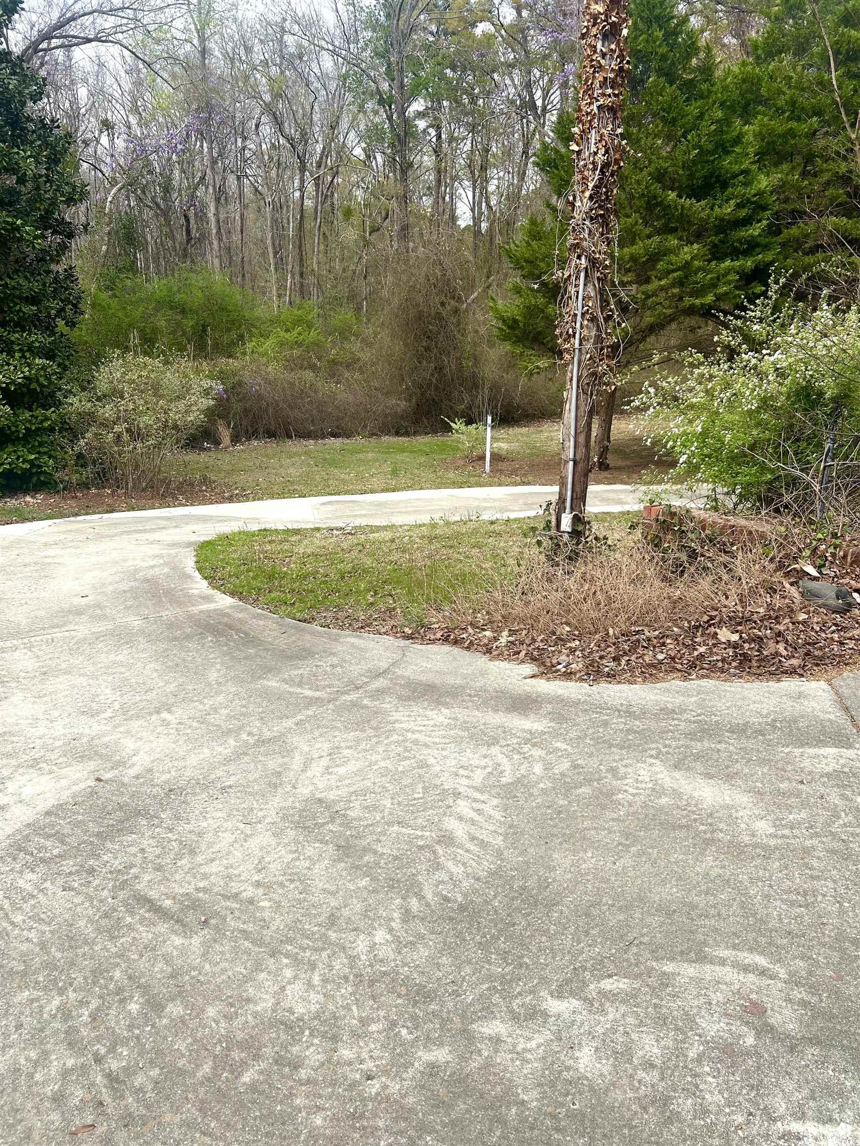 664 4 Mile Loop Cheraw, SC 29520 - Photo 4 of 27 Exterior space