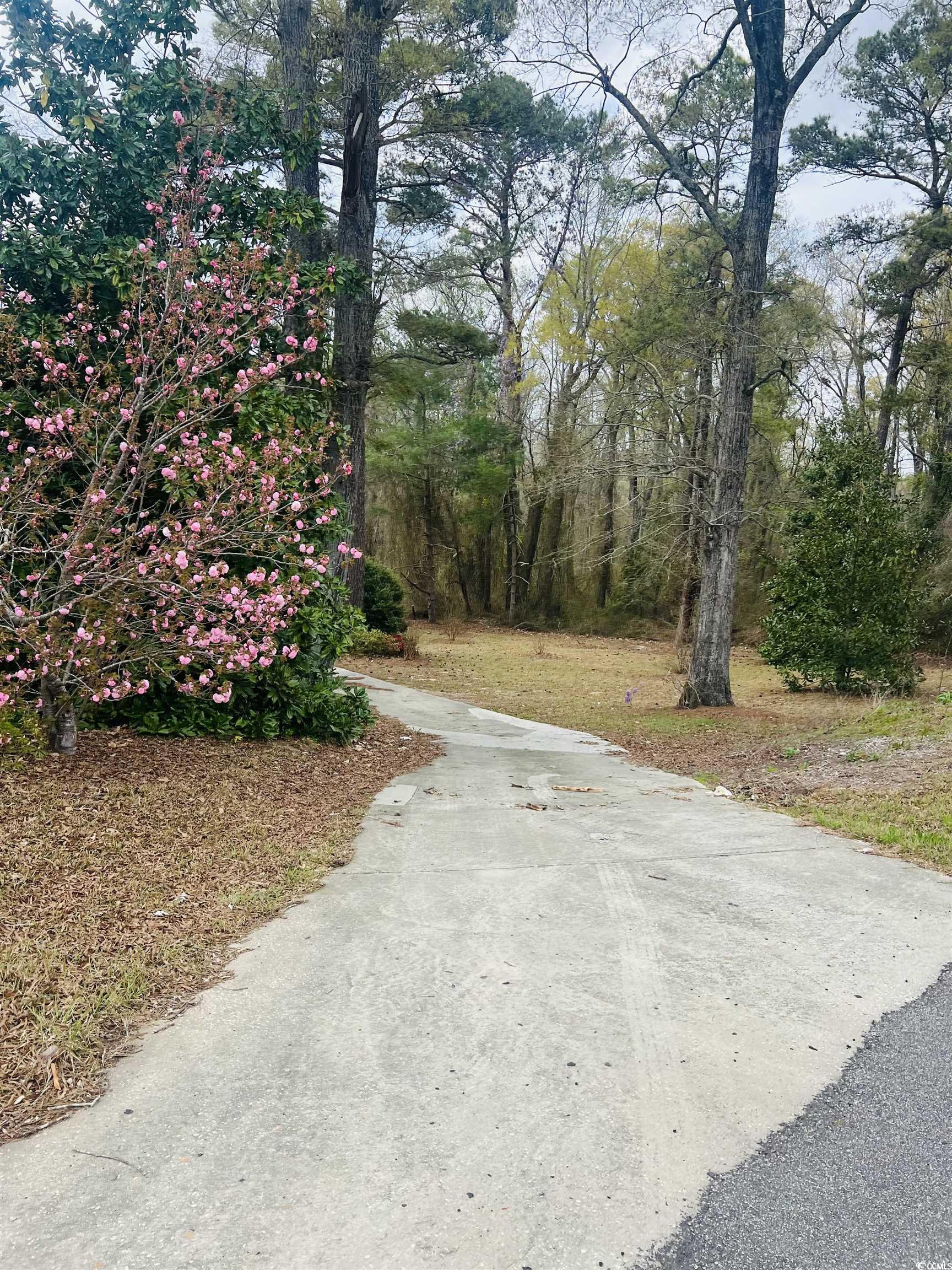 664 4 Mile Loop Cheraw, SC 29520 - Photo 5 of 27