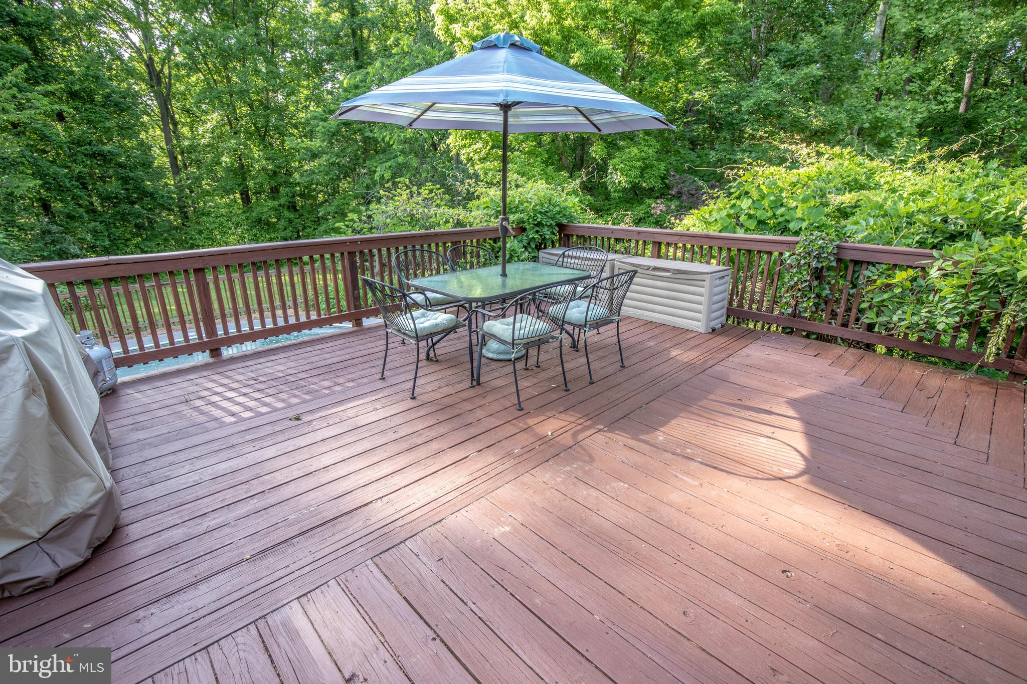 3024 Parshall Road Berryville, VA 22611 - Photo 71 of 79 Gallery Image 71
