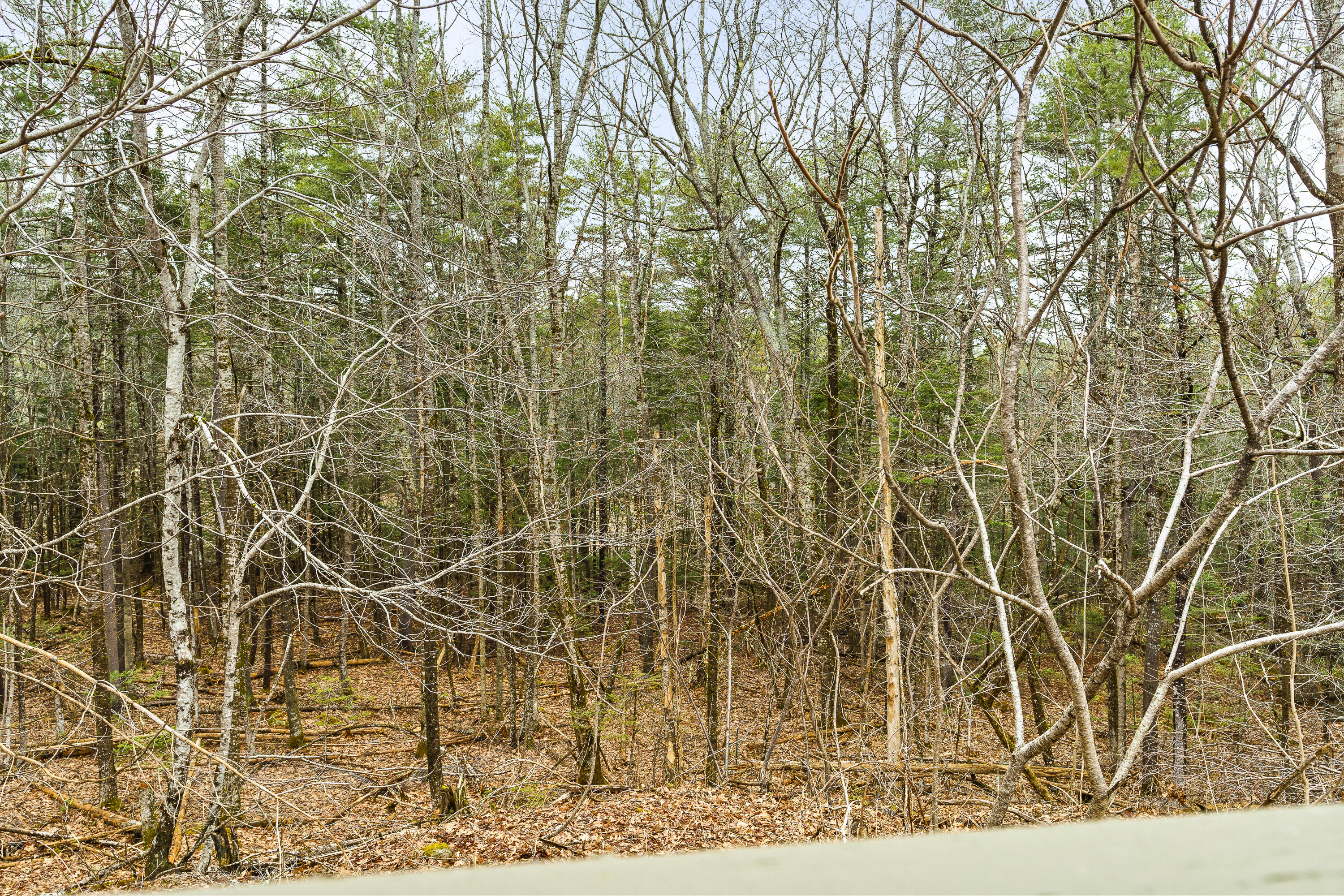 94 Station Road Newcastle, ME 04553 - Photo 62 of 72 36-94 Station Rd, Newcastle, ME-TP