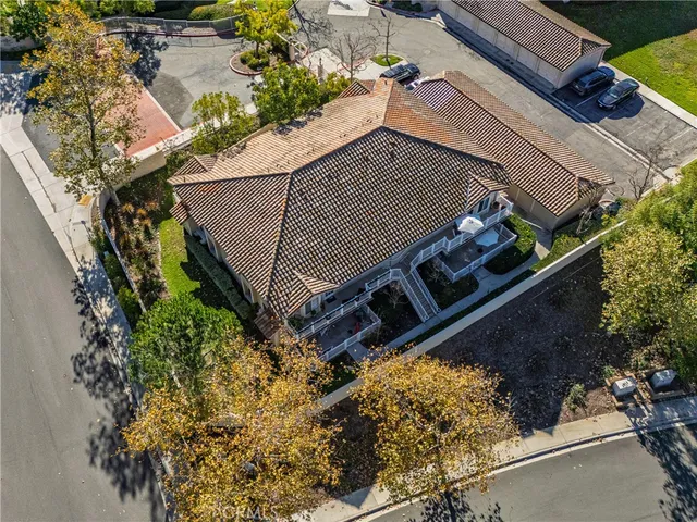 a view of a yard with plants
