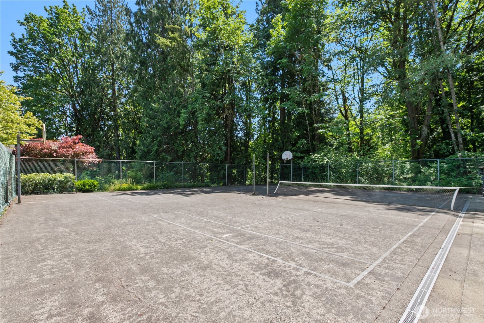 16019 Waynita Way Northeast, Unit F207 Bothell, WA 98011 - Photo 32 of 39 a backyard of a house with lots of green space