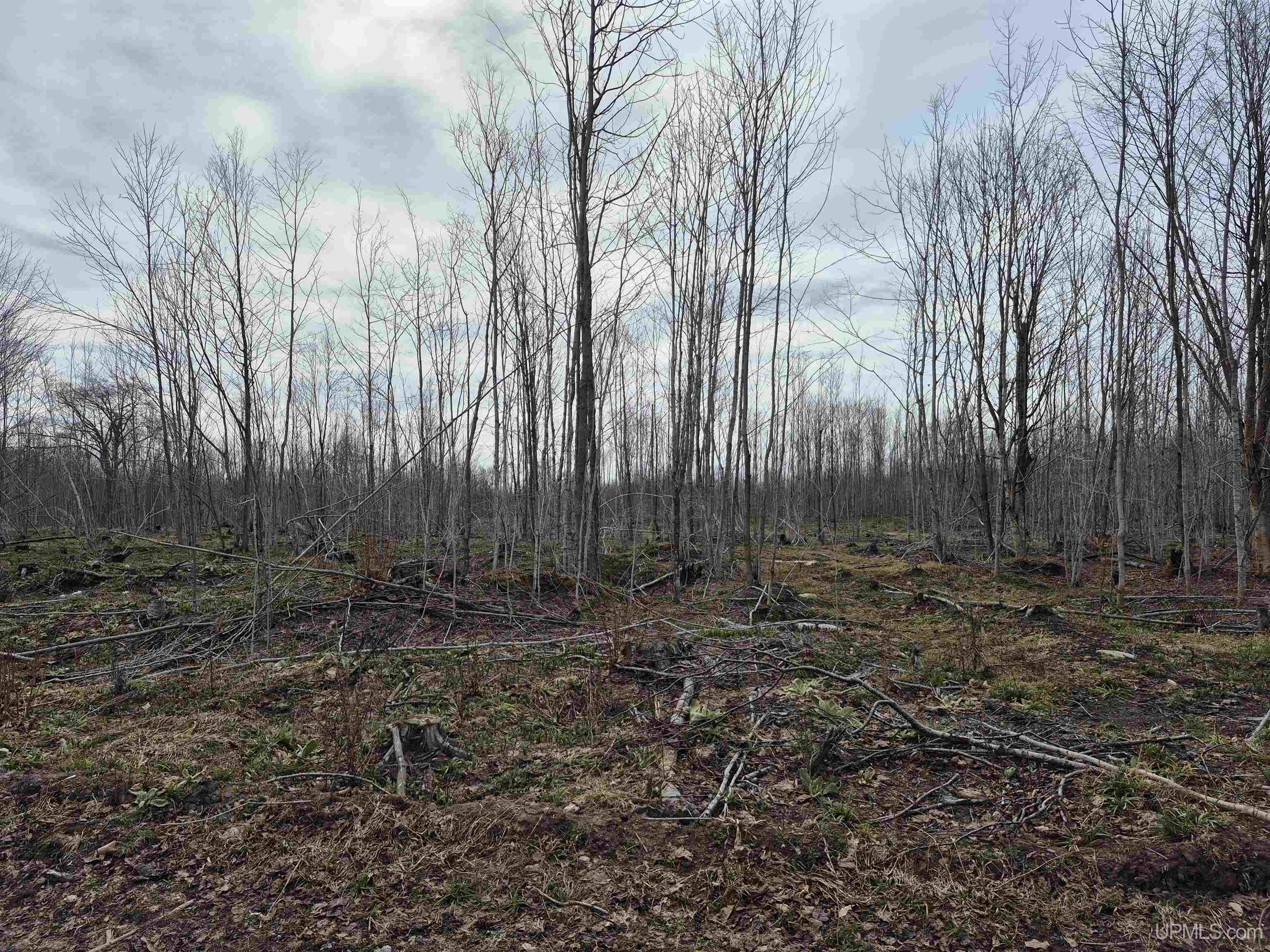 East 20 Quarry Road Gulliver, MI 49840 - Photo 8 of 47