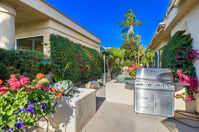 a potted plant sitting in front of a house