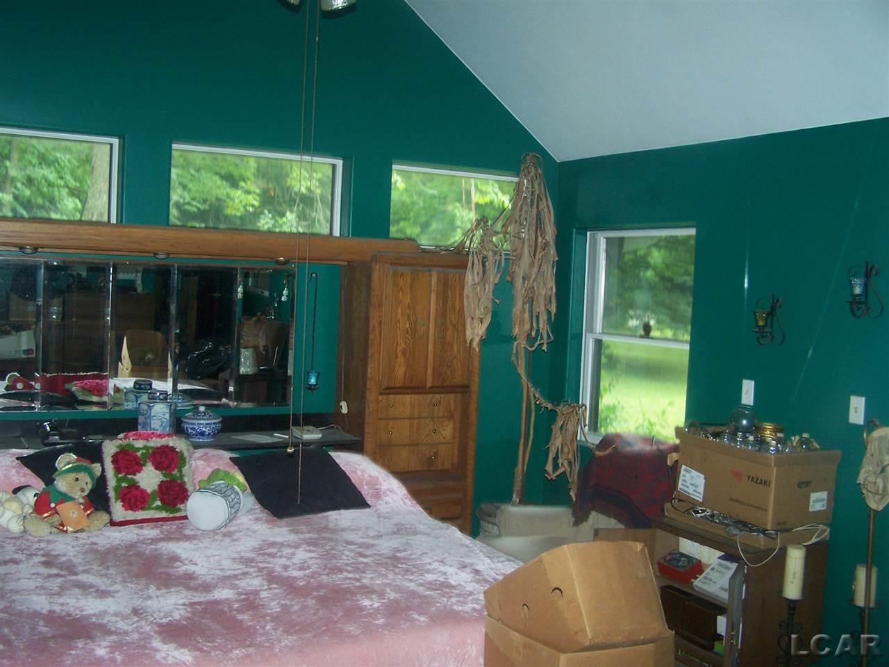 16600 Beecher Road Hudson, MI 49247 - Photo 42 of 51 31386306-41.JPG