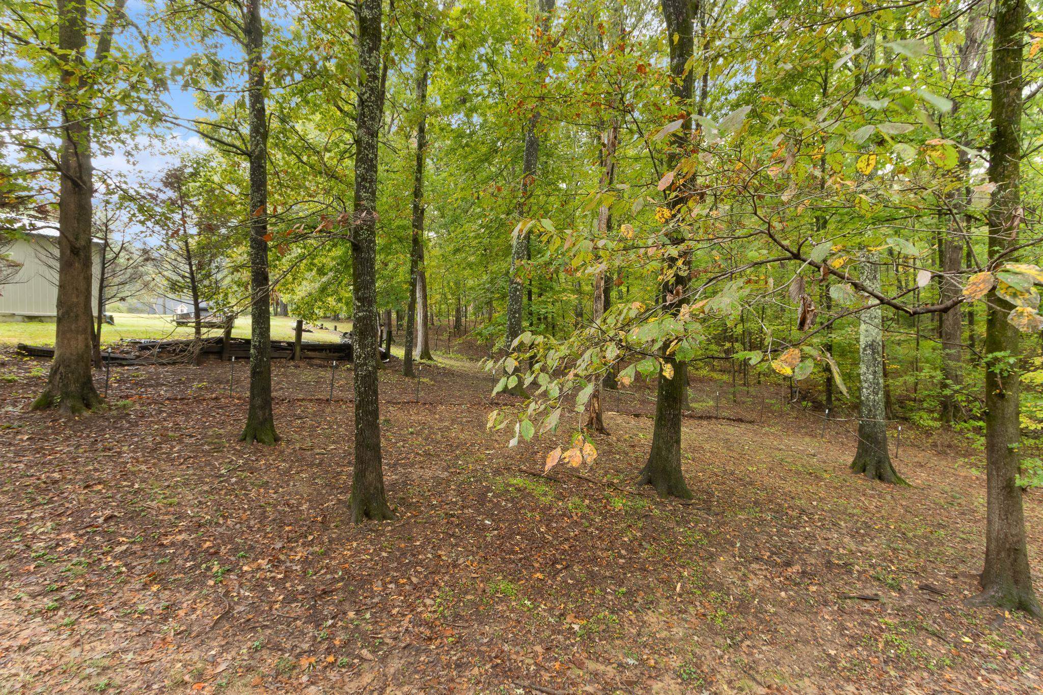 800 Walnut Bend Road Arlington, TN 38002 - Photo 34 of 40 Gallery Image 34