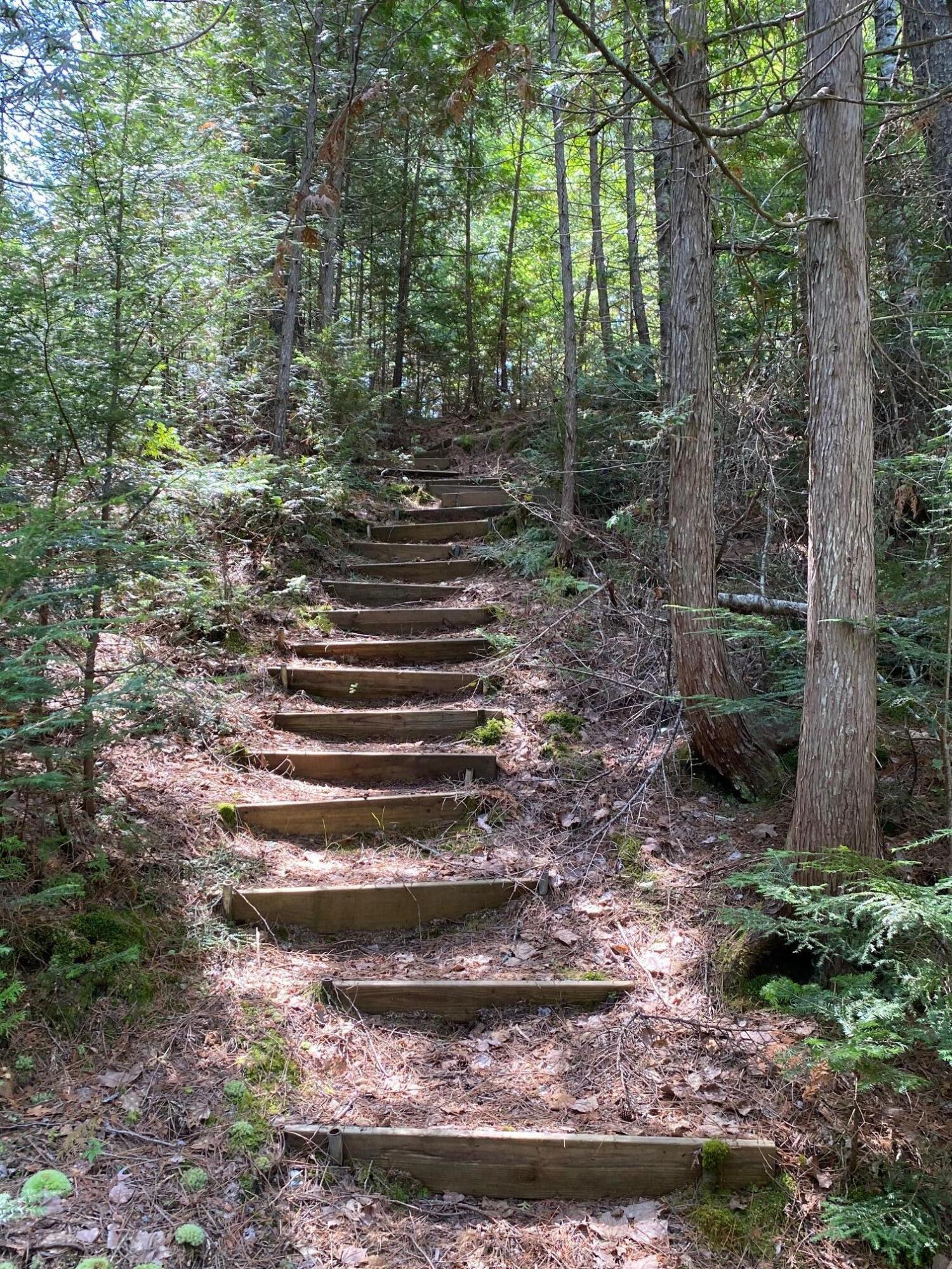 280 Greenwood Pond Road Guilford, ME 04443 - Photo 34 of 39