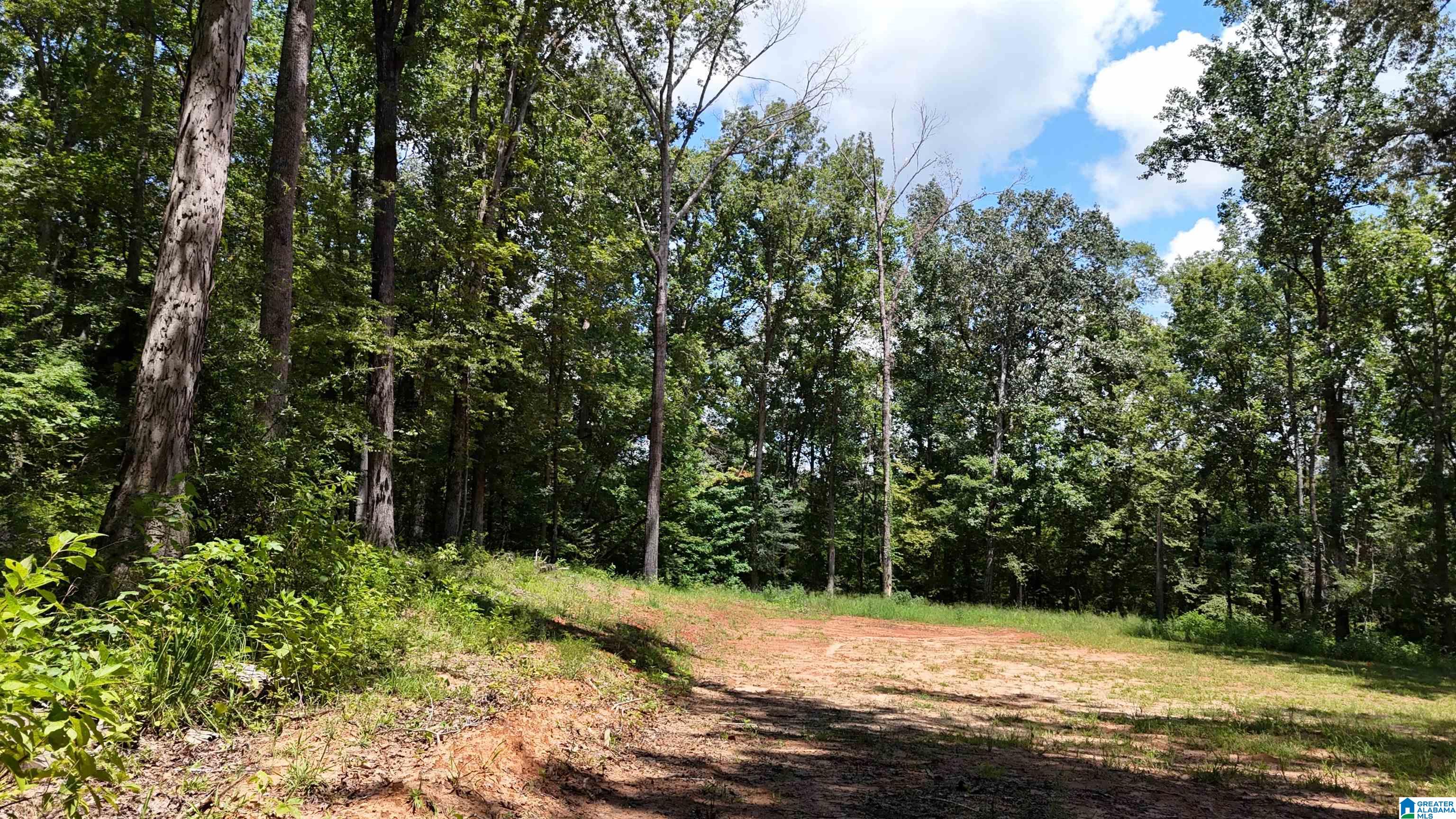 2170 Birmingham Road Centreville, AL 35042 - Photo 10 of 32