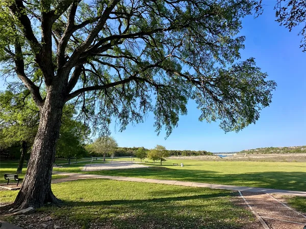 a view of a field with a tree