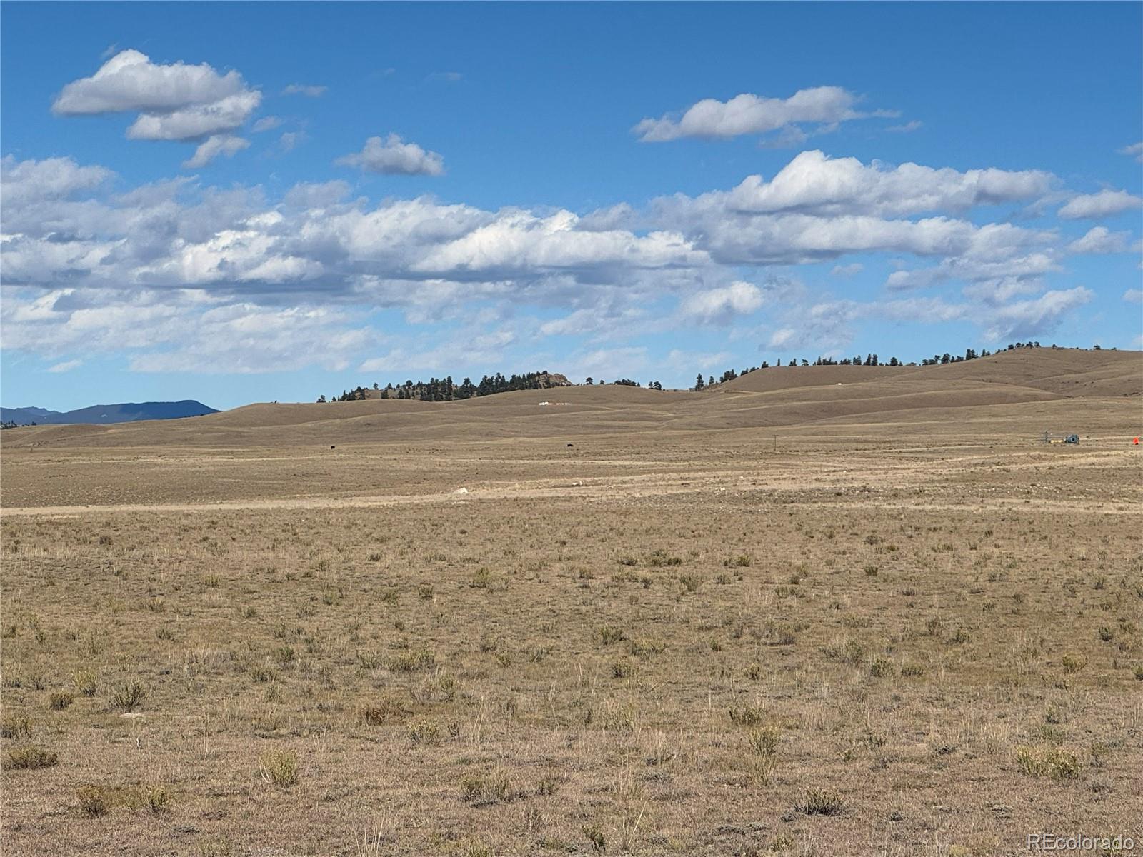 0 Arapaho Road Hartsel, CO 80449 - Photo 8 of 15 a view of an ocean beach