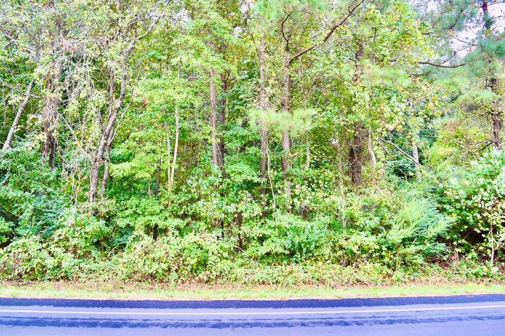 0 Chincoteague Road, Unit 5 Wallops Island, VA 23337 - Photo 5 of 5