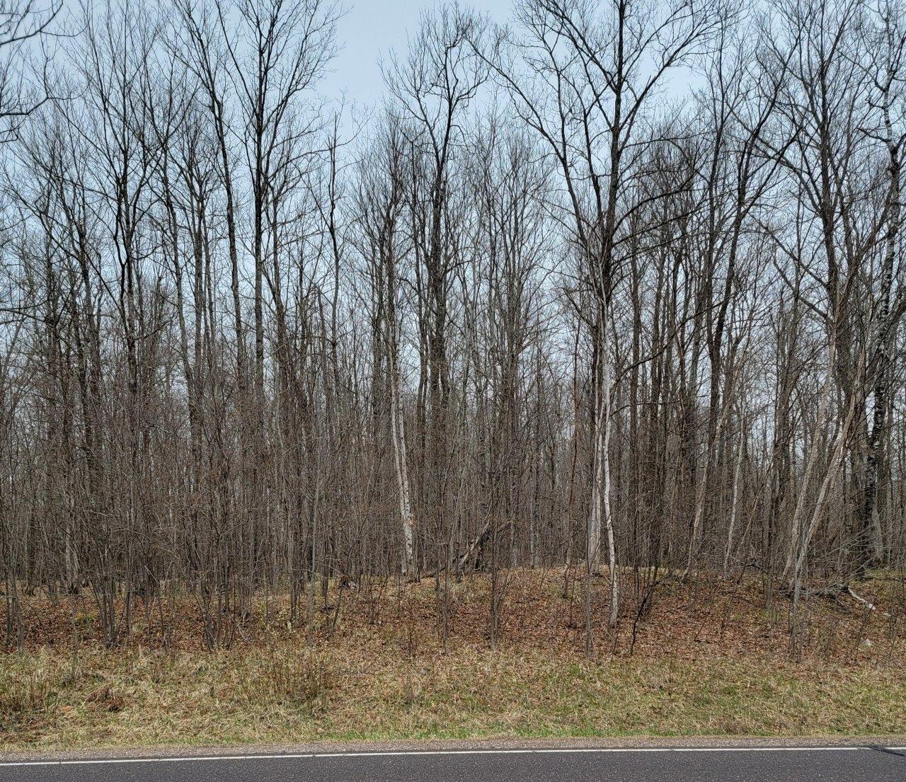 7213 Smith Road Winter, WI 54896 - Photo 24 of 27 Gallery Image 24