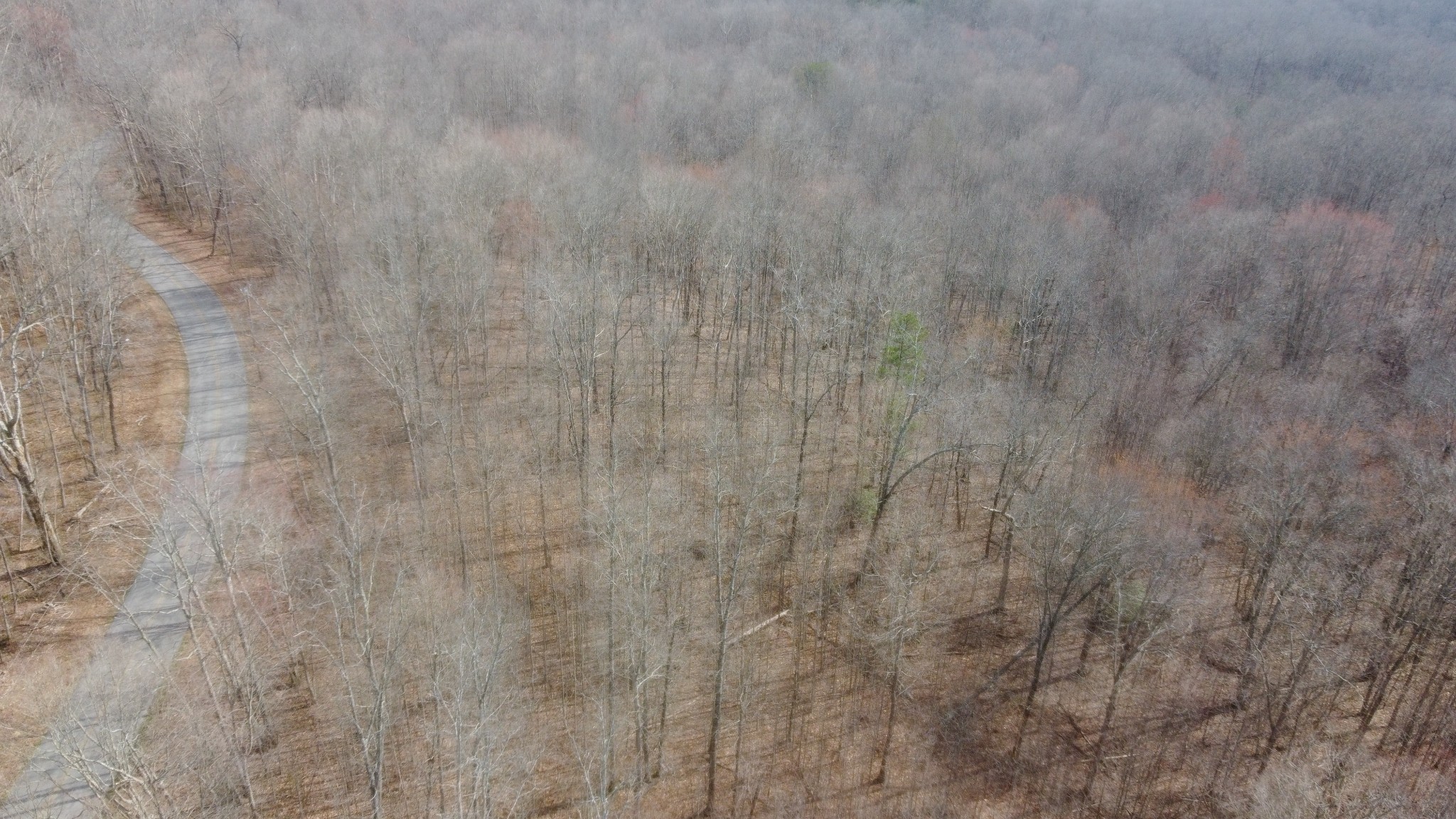 0 Snake Pond Road Sewanee, TN 37375 - Photo 3 of 6 Gallery Image 3