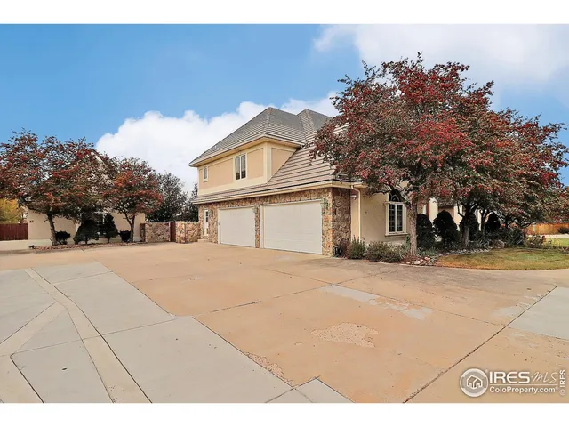 a view of a backyard with plants and a garden