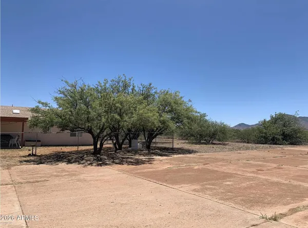 a view of a yard with a tree