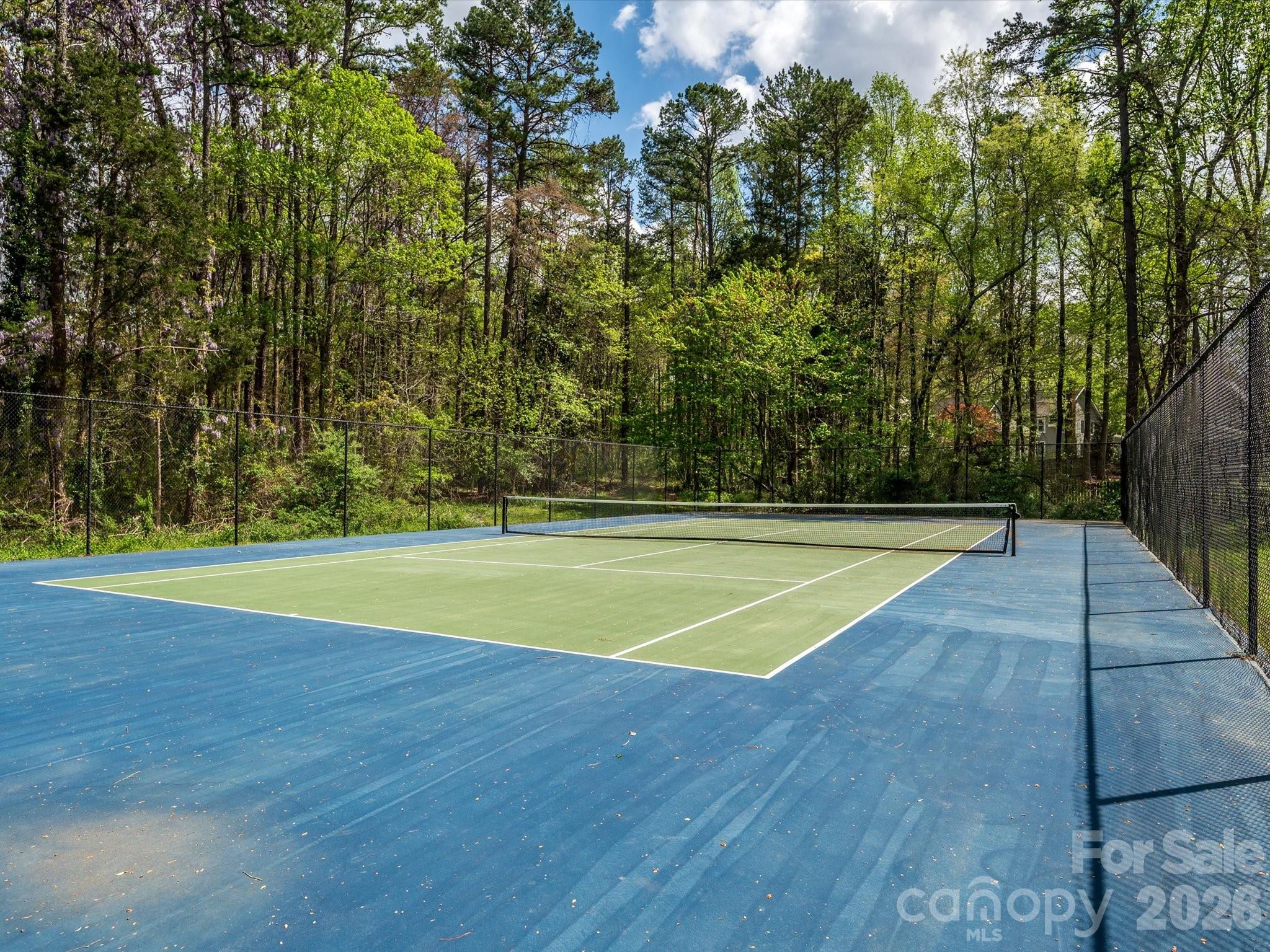 13417 Scanlan Way Davidson, NC 28036 - Photo 45 of 48