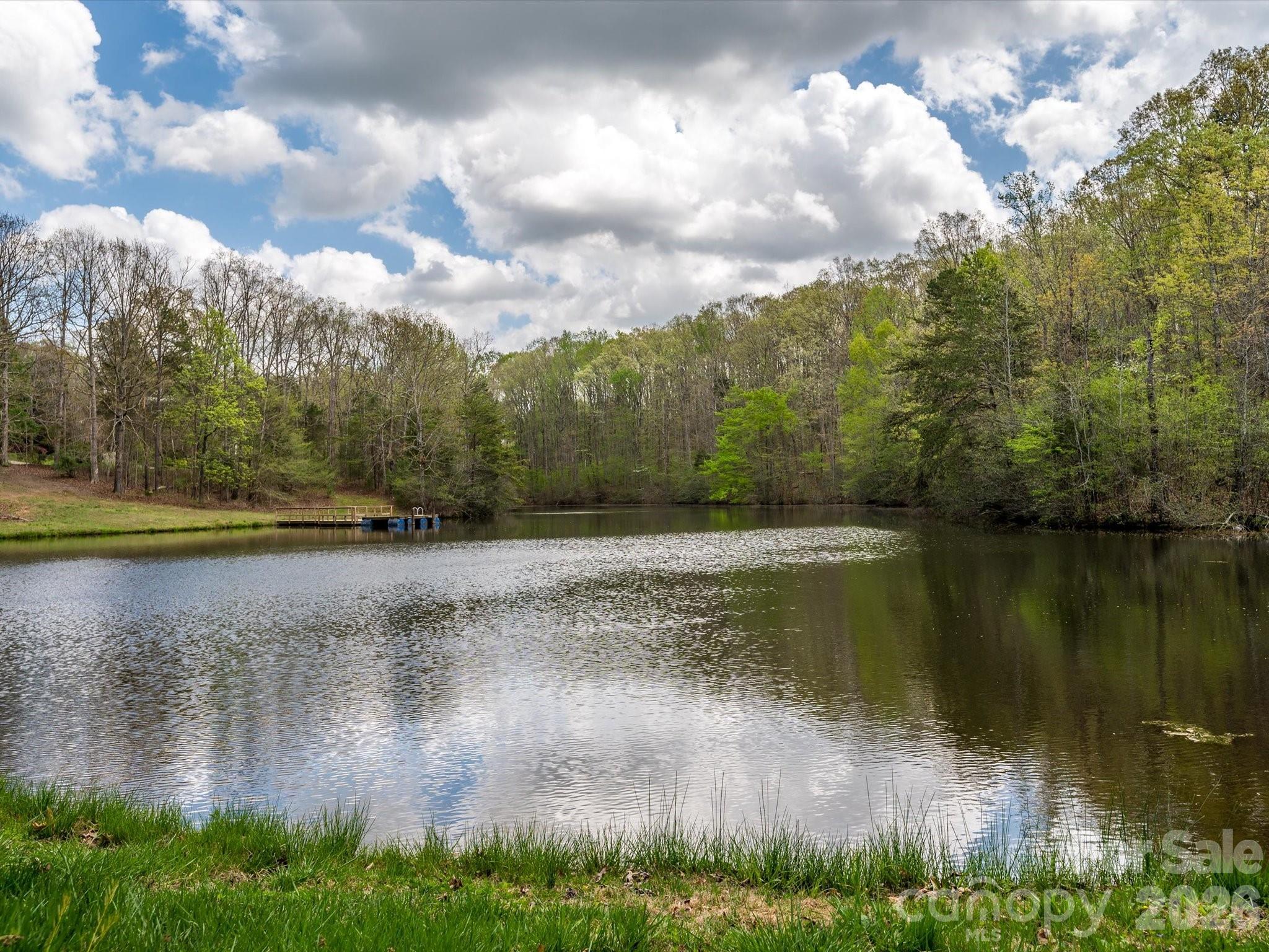 13417 Scanlan Way Davidson, NC 28036 - Photo 47 of 48 a view of a water pond with green space